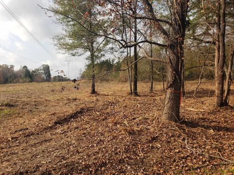 Vacant Land For Sale - TBD Cr 1552 10.097 Ac<br/> Long Branch, TX 75669
