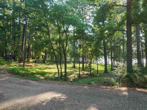 Vacant Land For Sale - 91 County Road 2223<br/> Morris County, Daingerfield, TX 75638