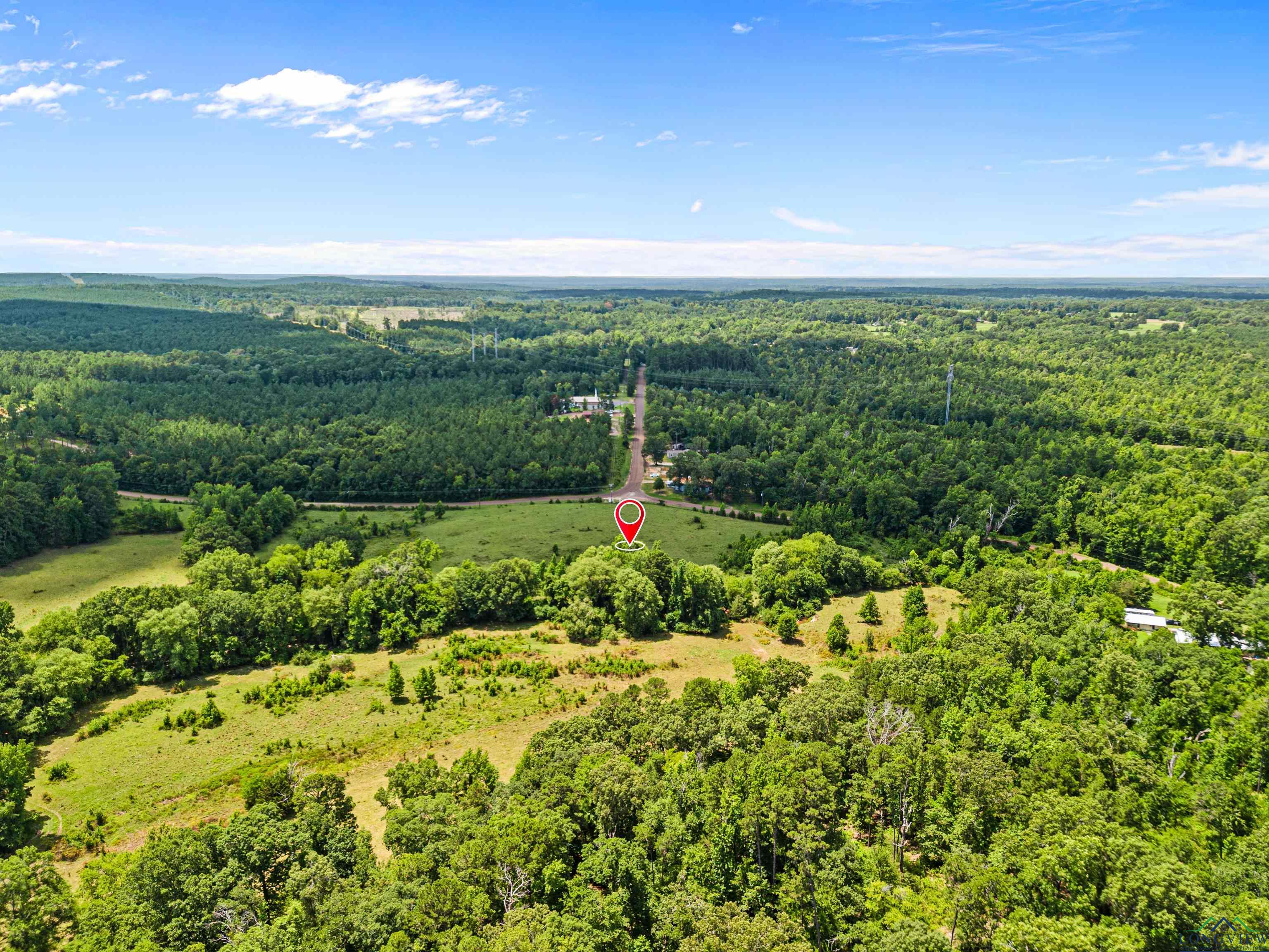 Lot 4 & 5 Simmons Road, Diana, Texas image 4