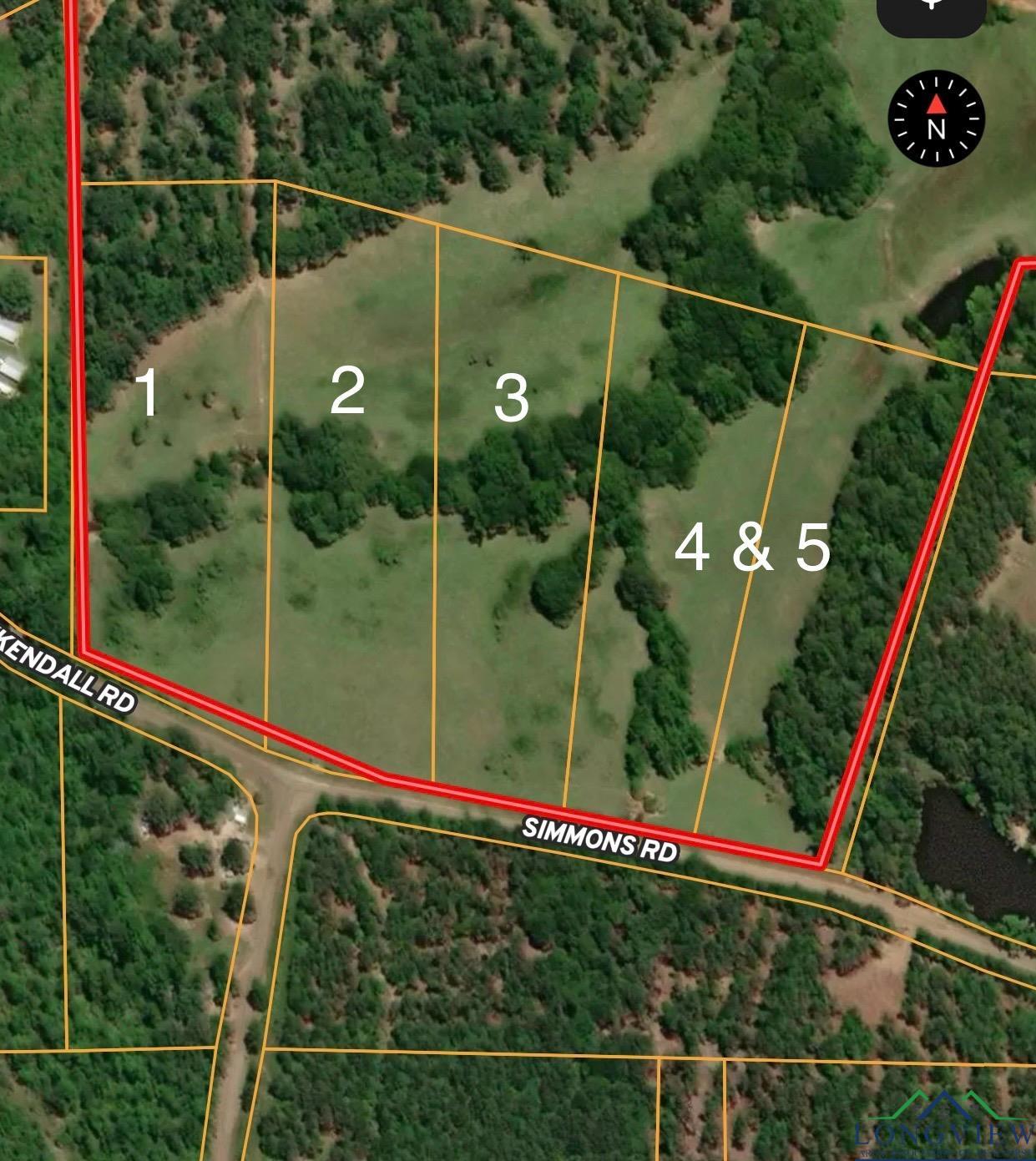 Lot 4 & 5 Simmons Road, Diana, Texas image 10