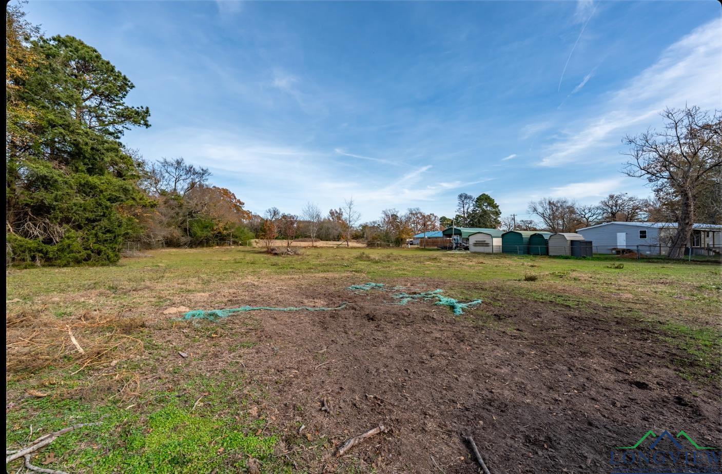 5348 S State Highway 155, Gilmer, Texas image 9