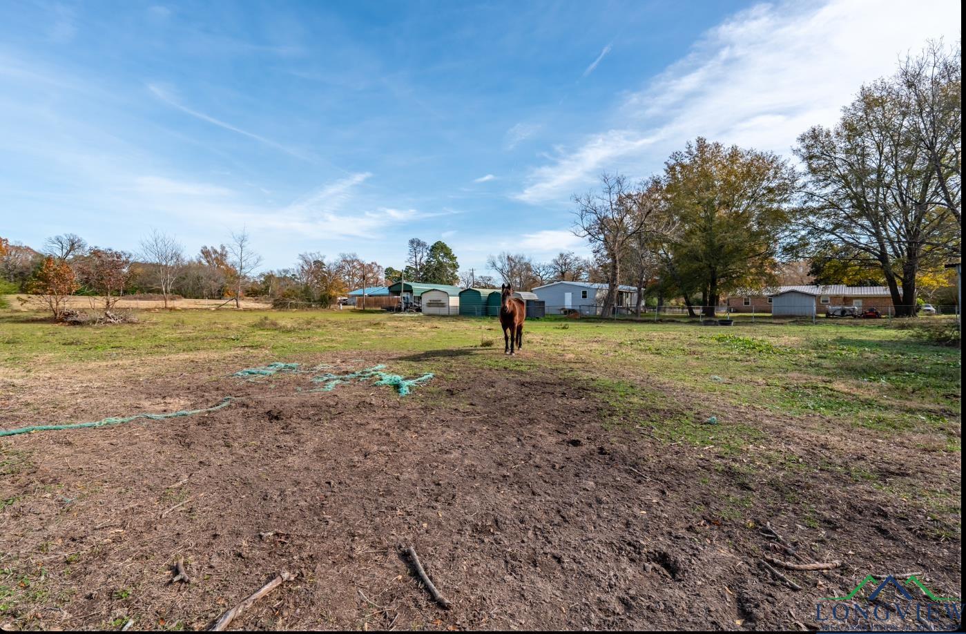 5348 S State Highway 155, Gilmer, Texas image 8