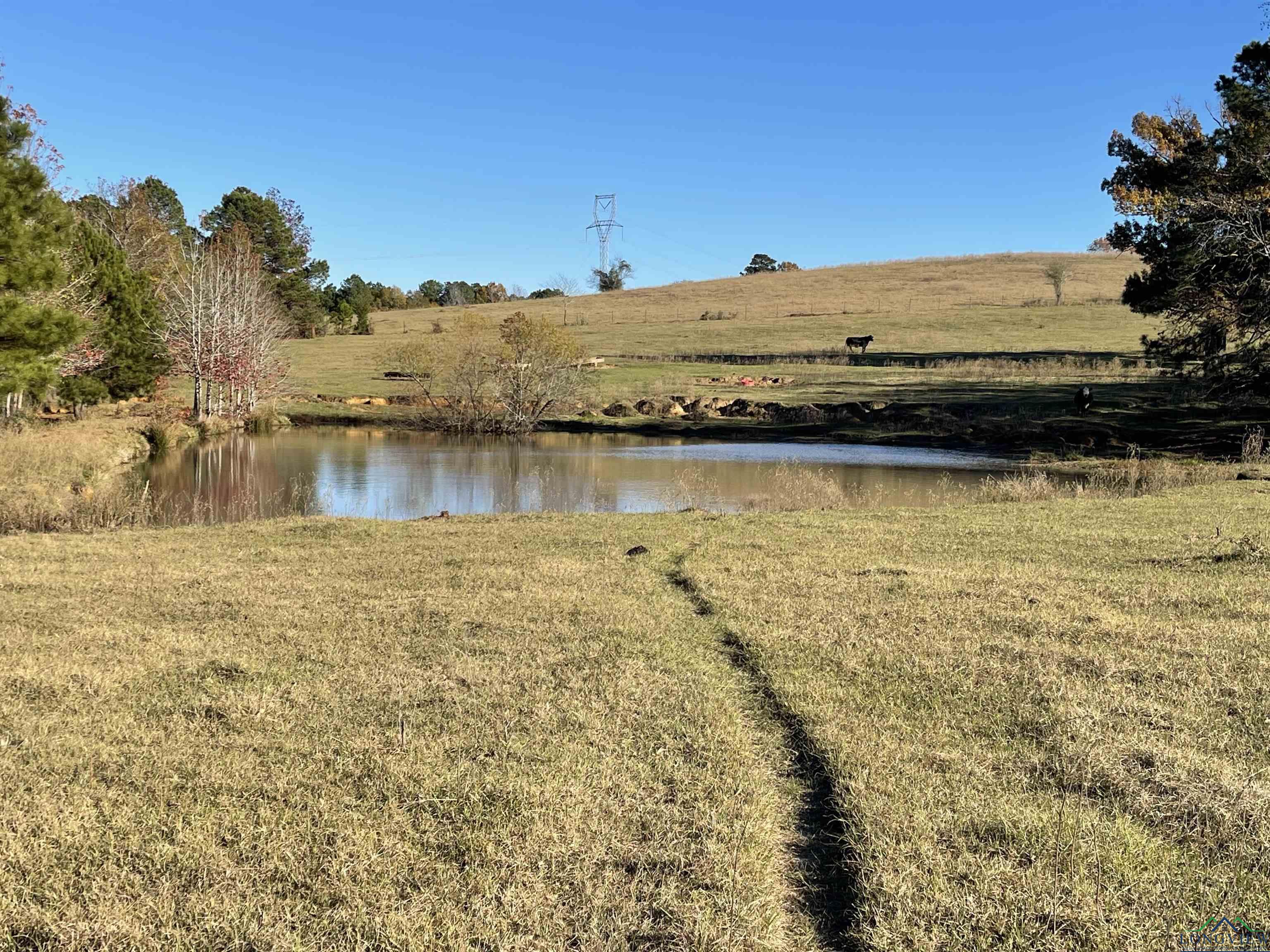 Tbd Sam Hall Rd, Hallsville, Texas image 8