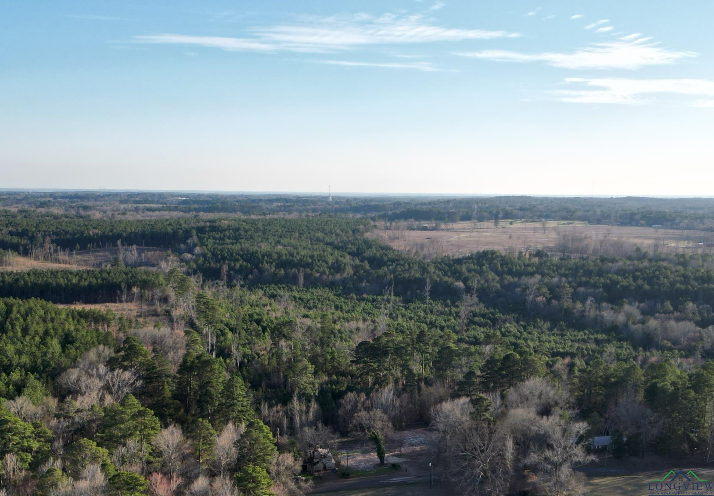 TBD Noonday, Hallsville, Texas image 9