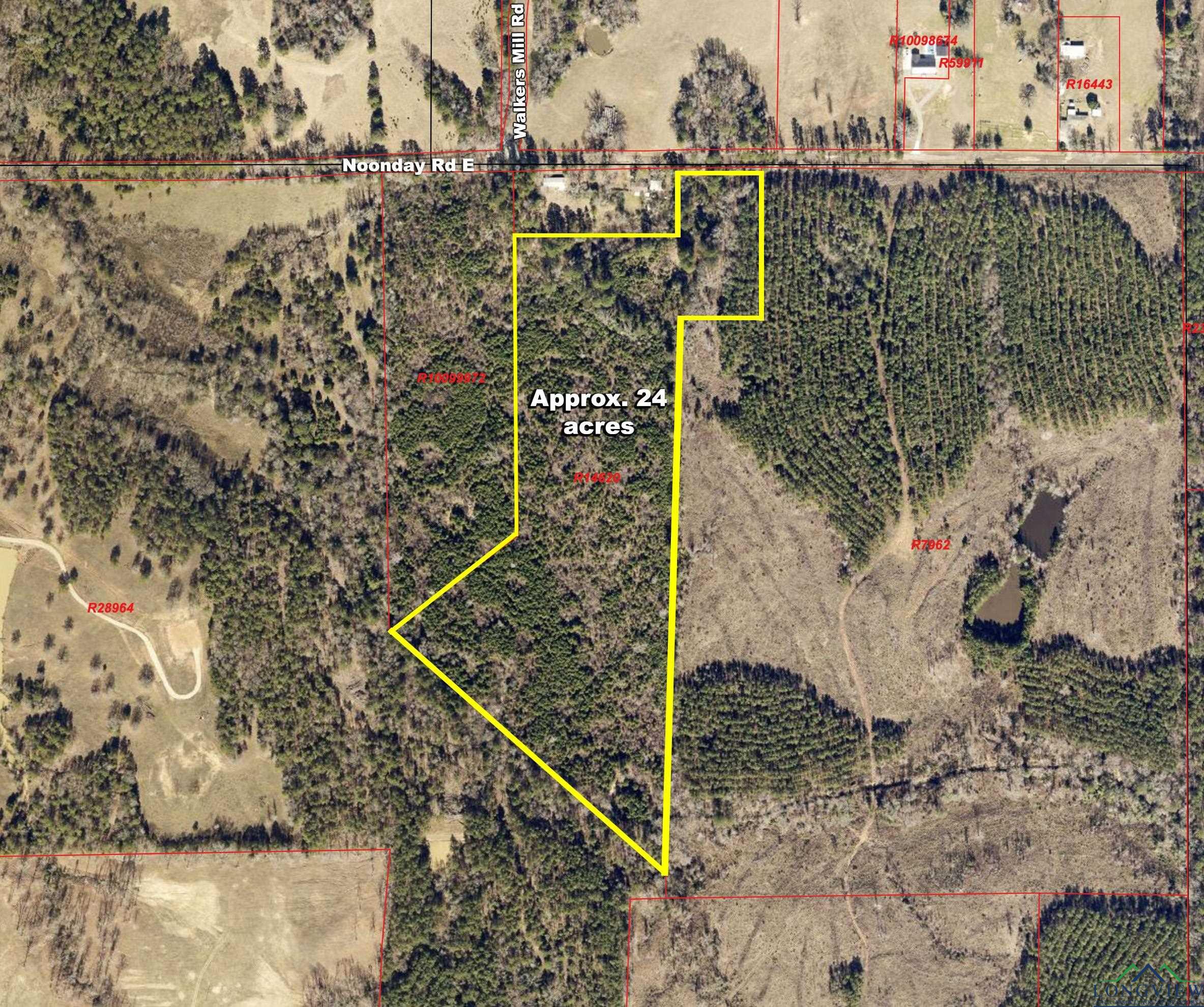 TBD Noonday, Hallsville, Texas image 1
