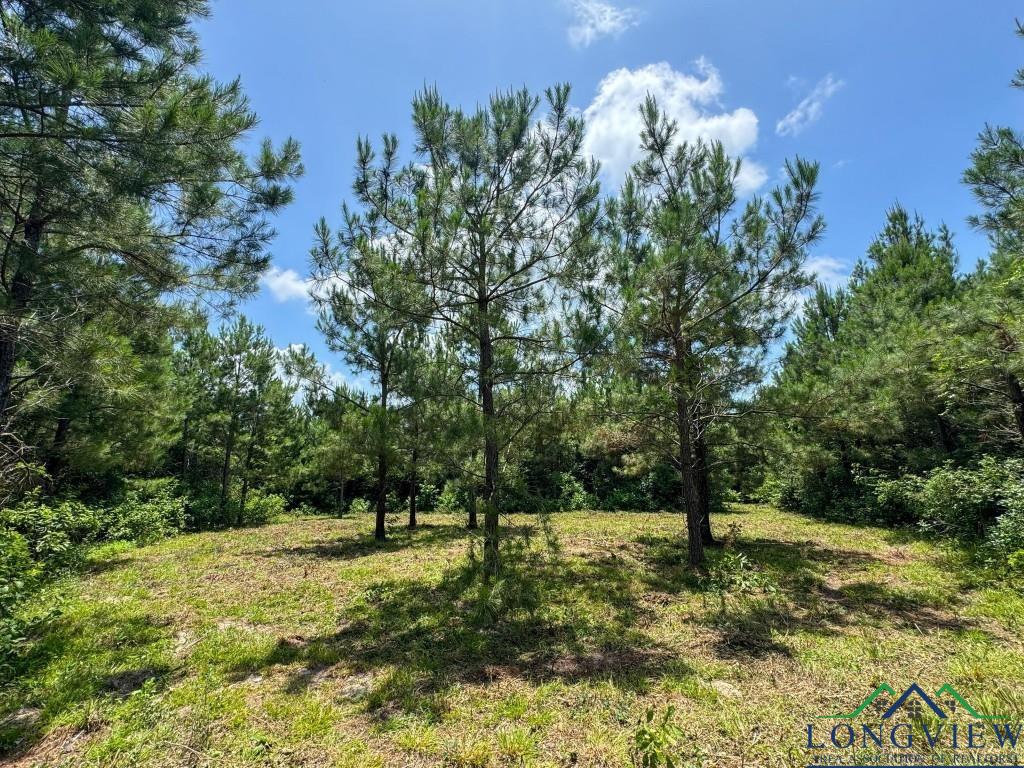 0000 Cr 1782, Linden, Texas image 9