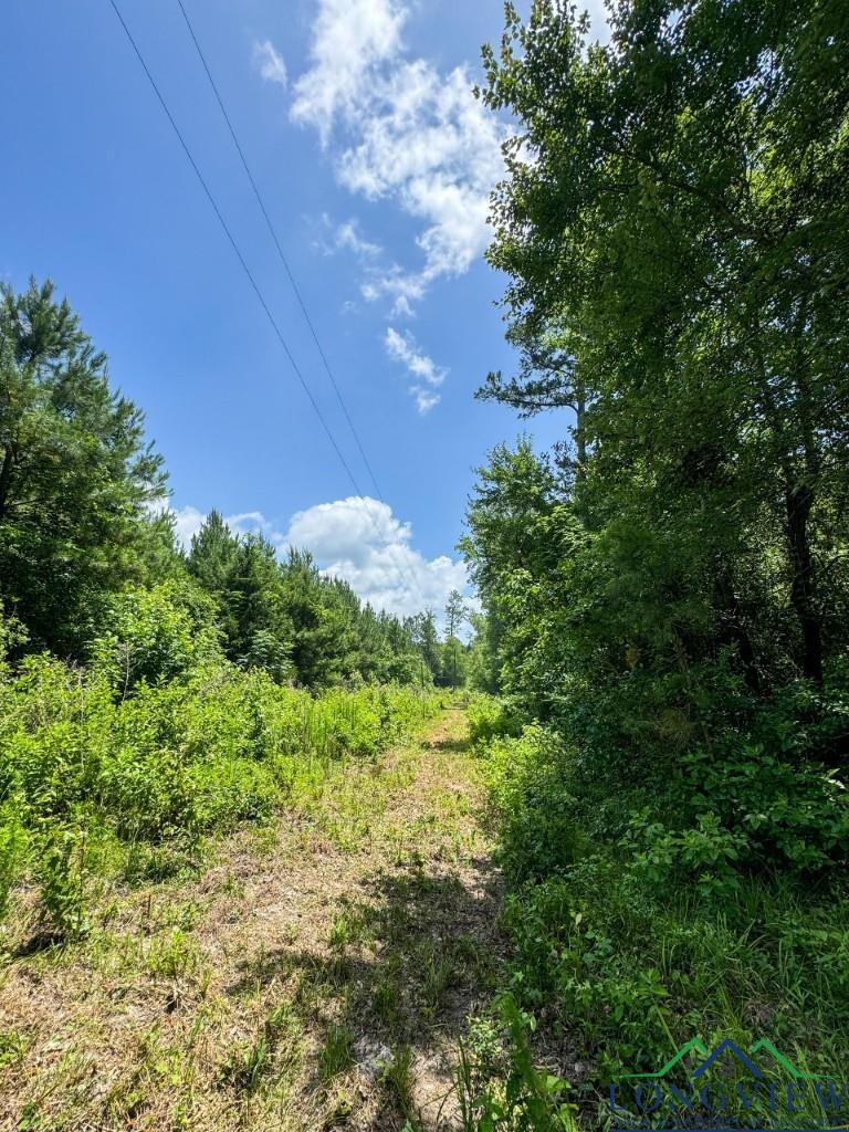 0000 Cr 1782, Linden, Texas image 6