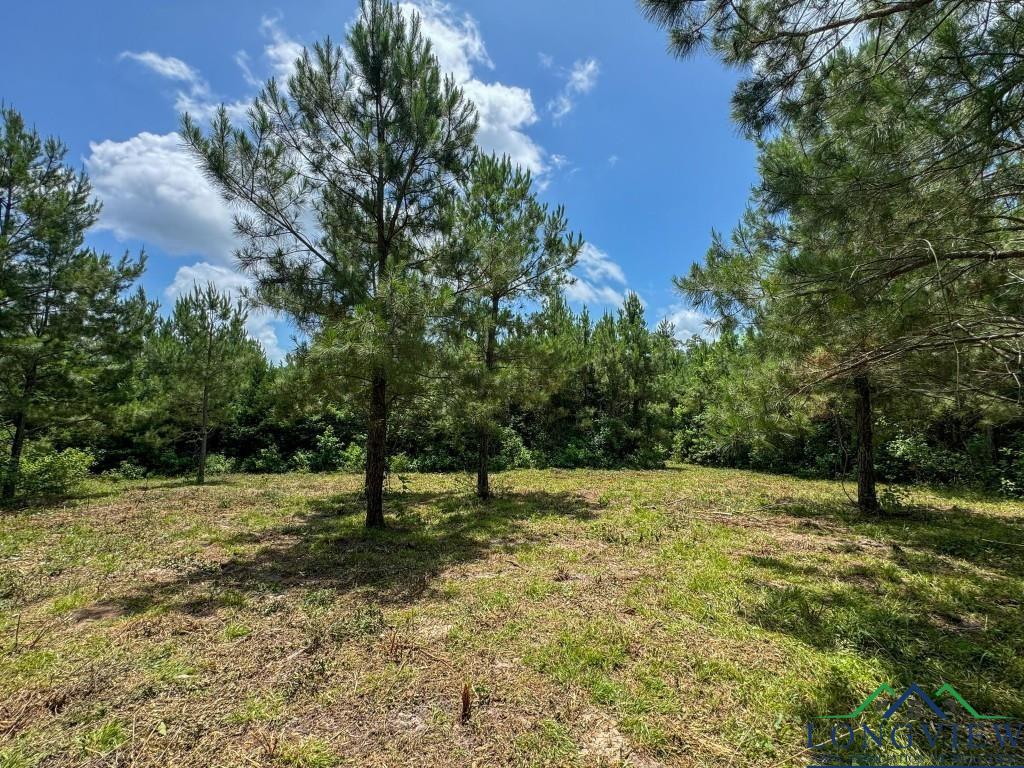 0000 Cr 1782, Linden, Texas image 10