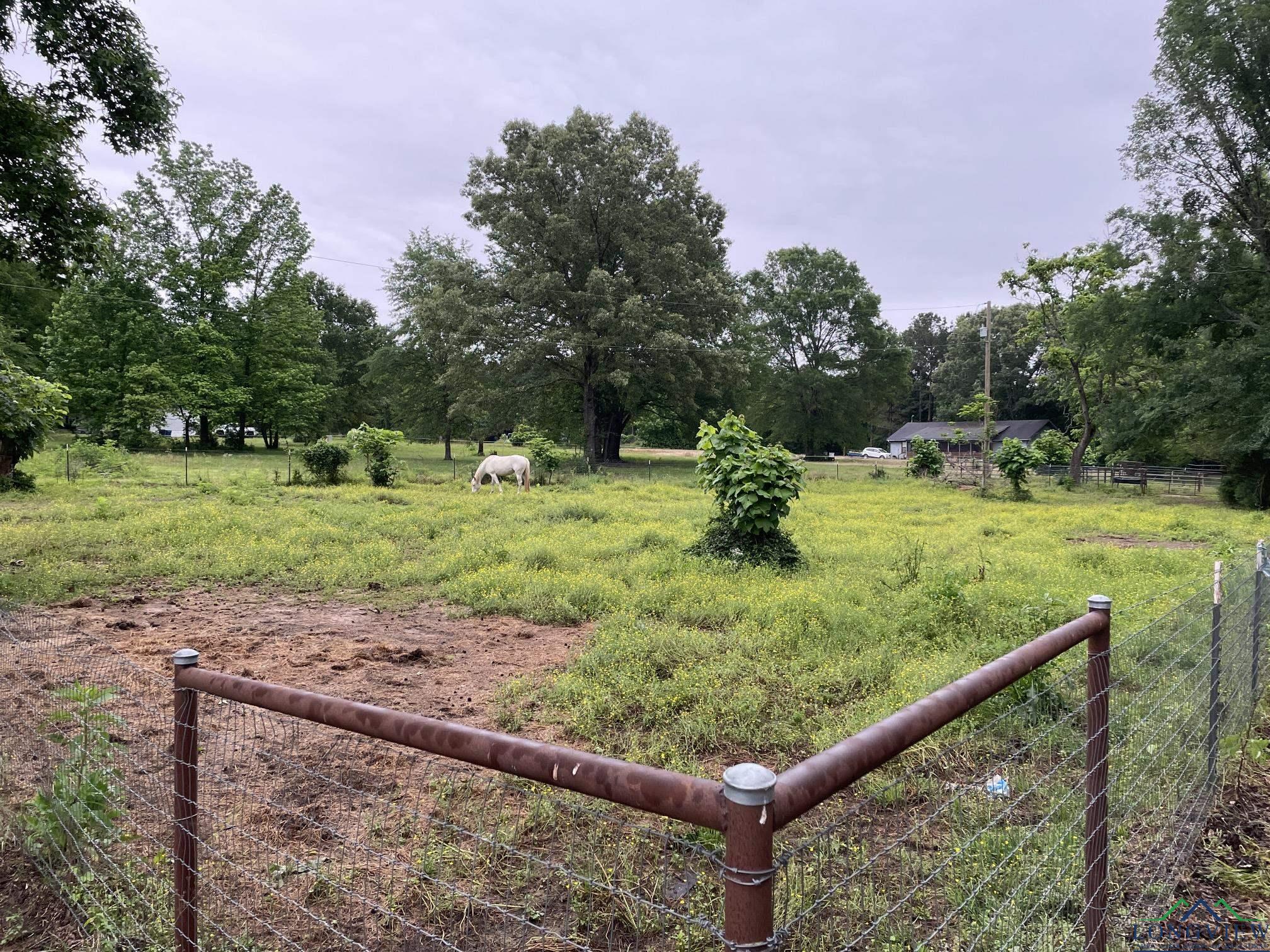 1012 Dial Rd, Big Sandy, Texas image 40