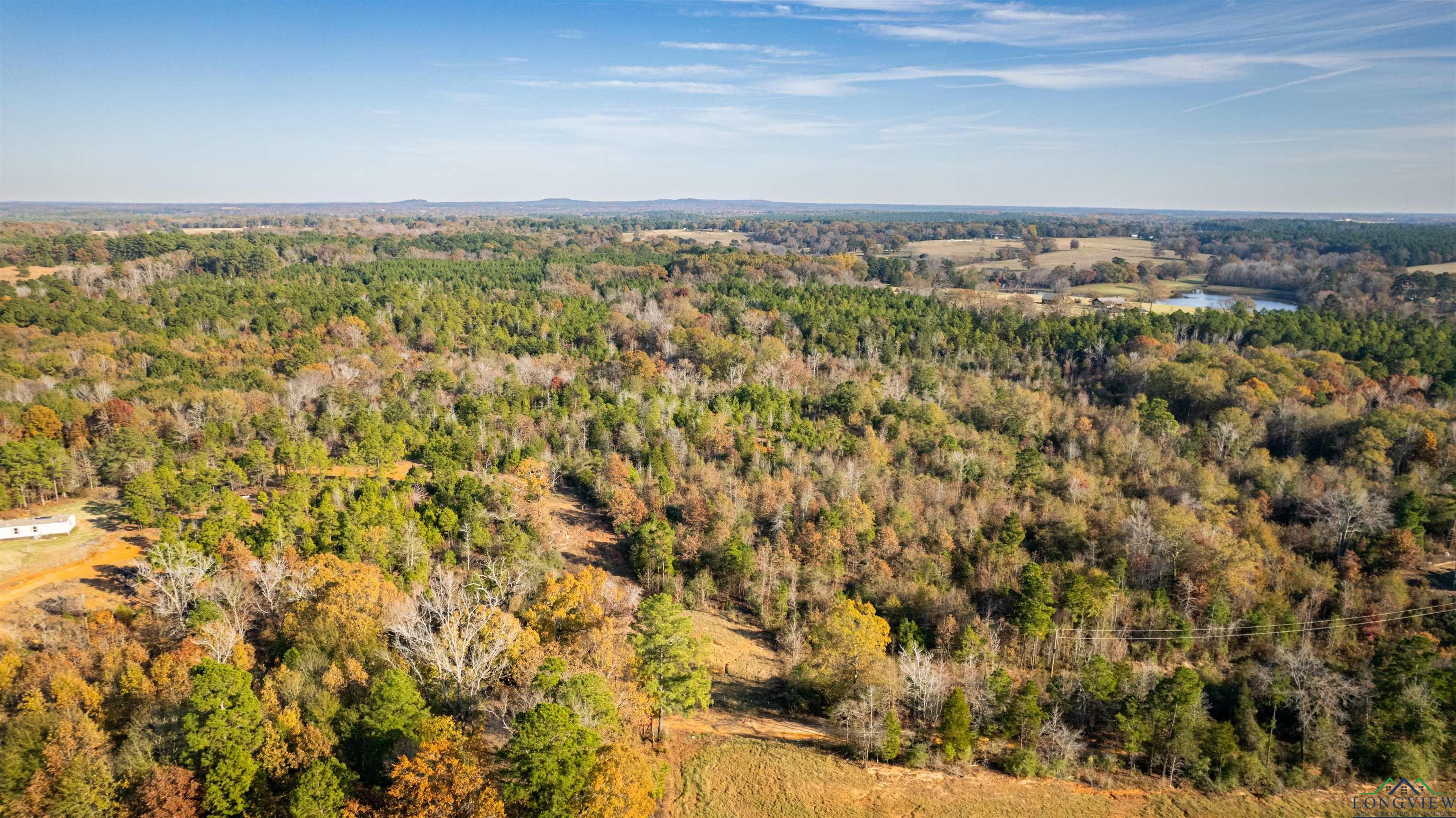 E Tbd Orange Rd, Big Sandy, Texas image 4