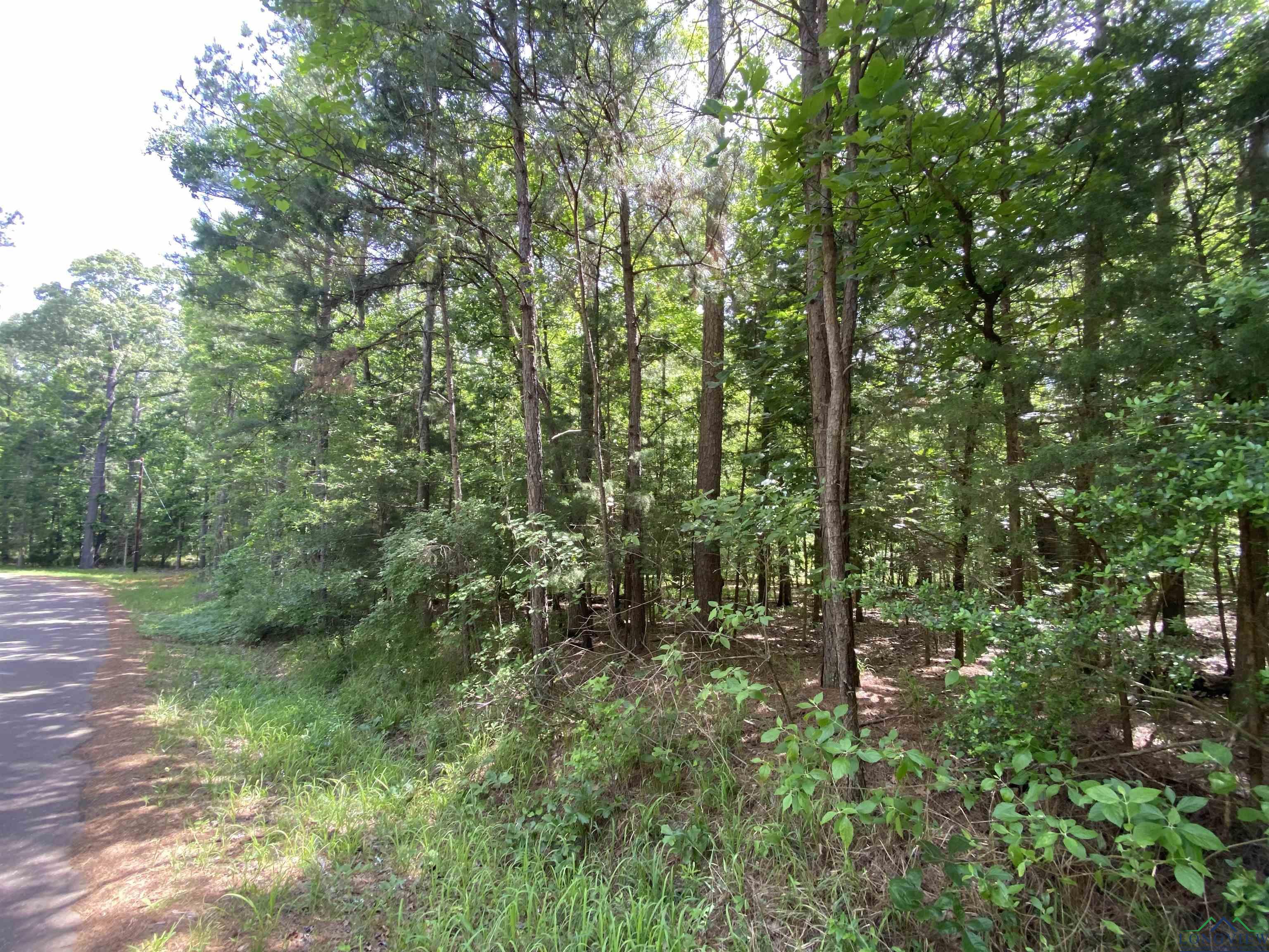 TBD Cr 1596, Avinger, Texas image 10