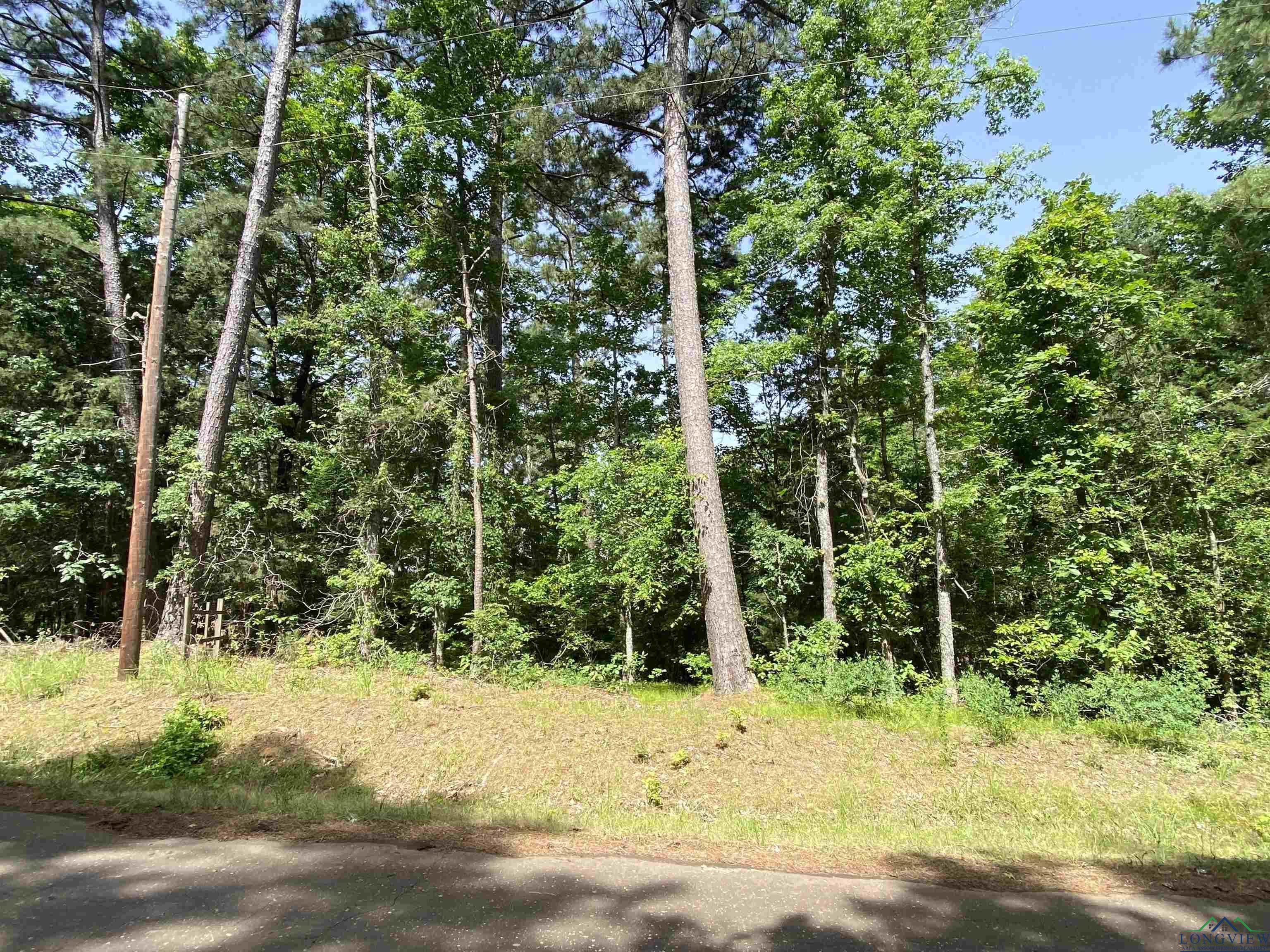 TBD Cr 1596, Avinger, Texas image 8