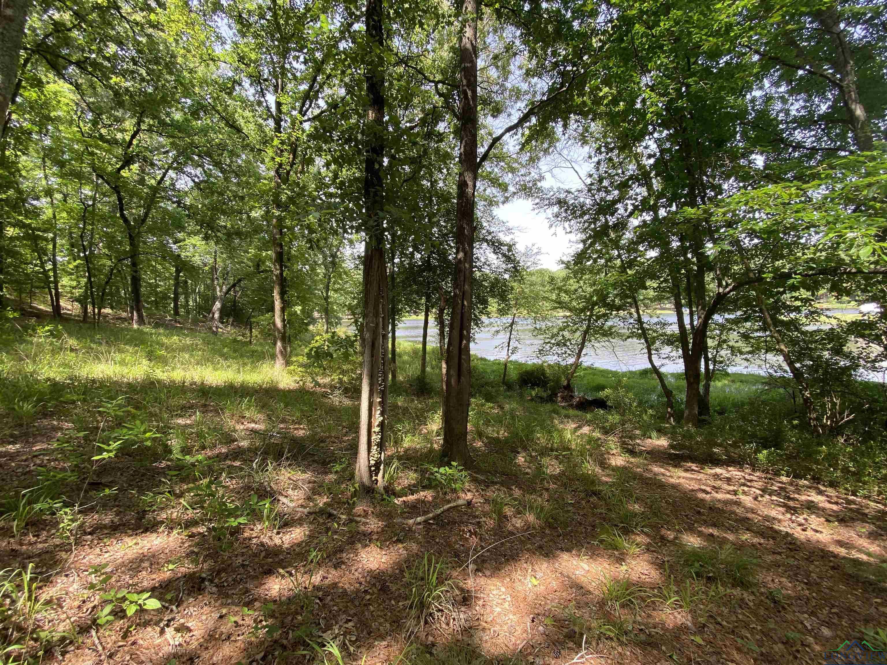 TBD Cr 1596, Avinger, Texas image 17