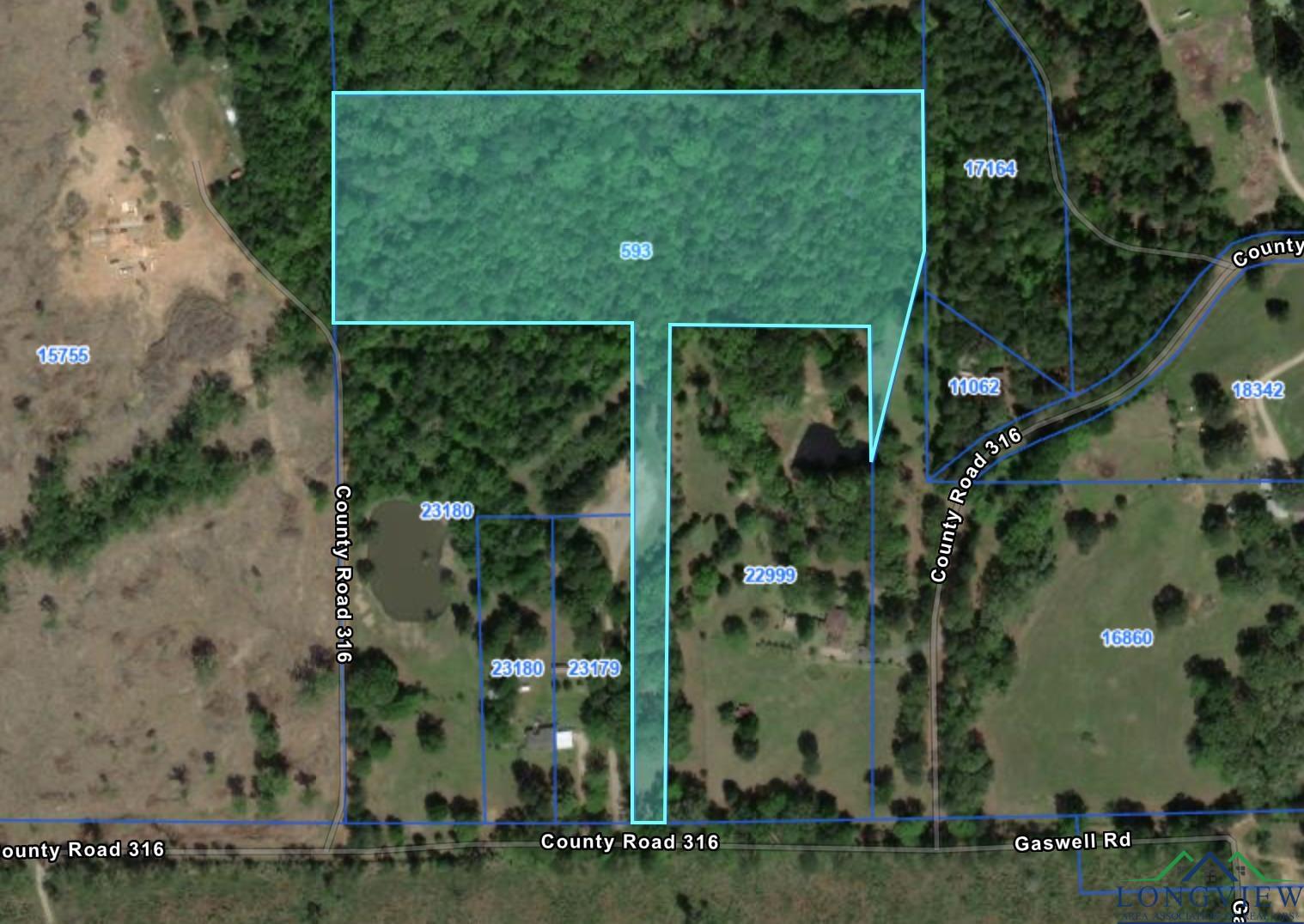 12.22 AC TBD County Road 316 D, De Berry, Texas image 1