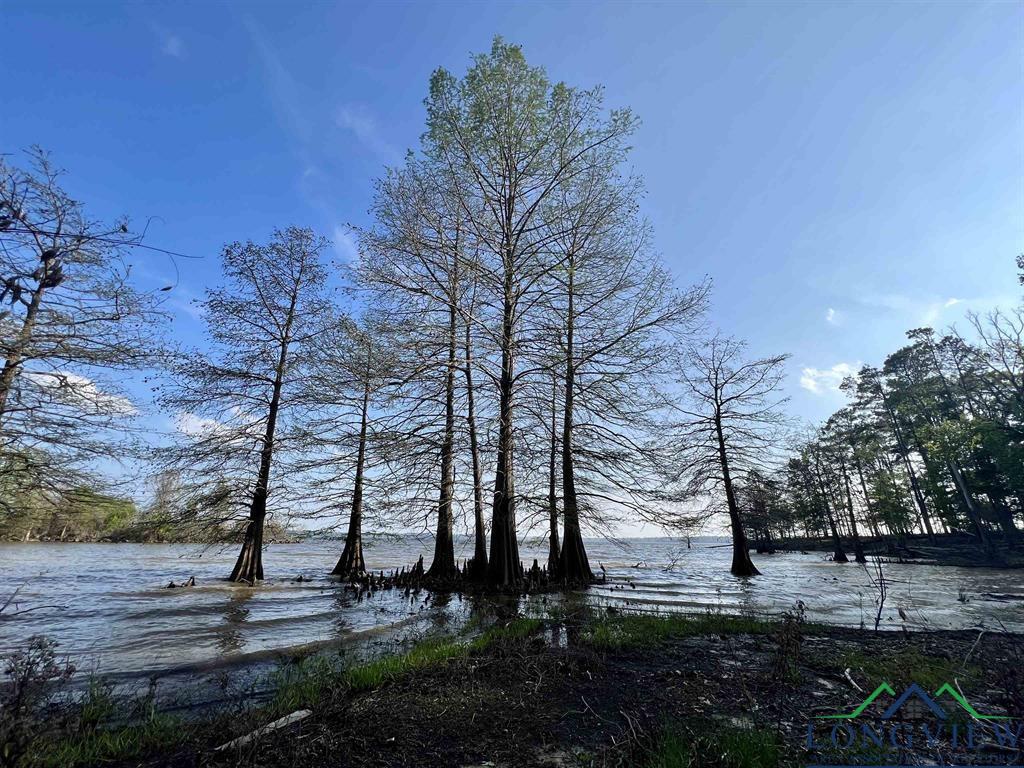 149 Lock Mountain Rd, Avinger, Texas image 1