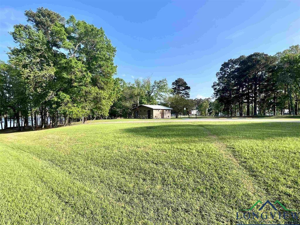 149 Lock Mountain Rd, Avinger, Texas image 40