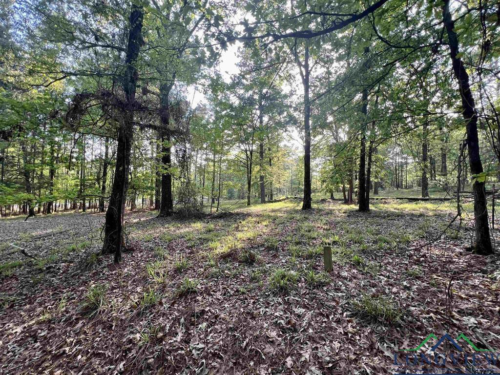 149 Lock Mountain Rd, Avinger, Texas image 30