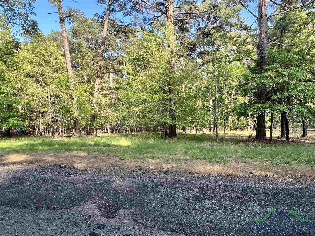 149 Lock Mountain Rd, Avinger, Texas image 19