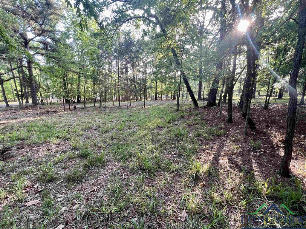 149 Lock Mountain Rd, Avinger, Texas image 28