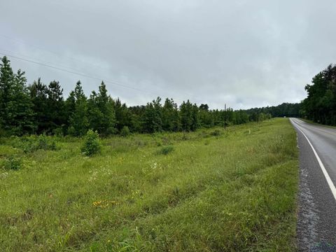 Vacant Land For Sale - 172 George Blvd<br/> Cherokee County, Rusk, TX 75785