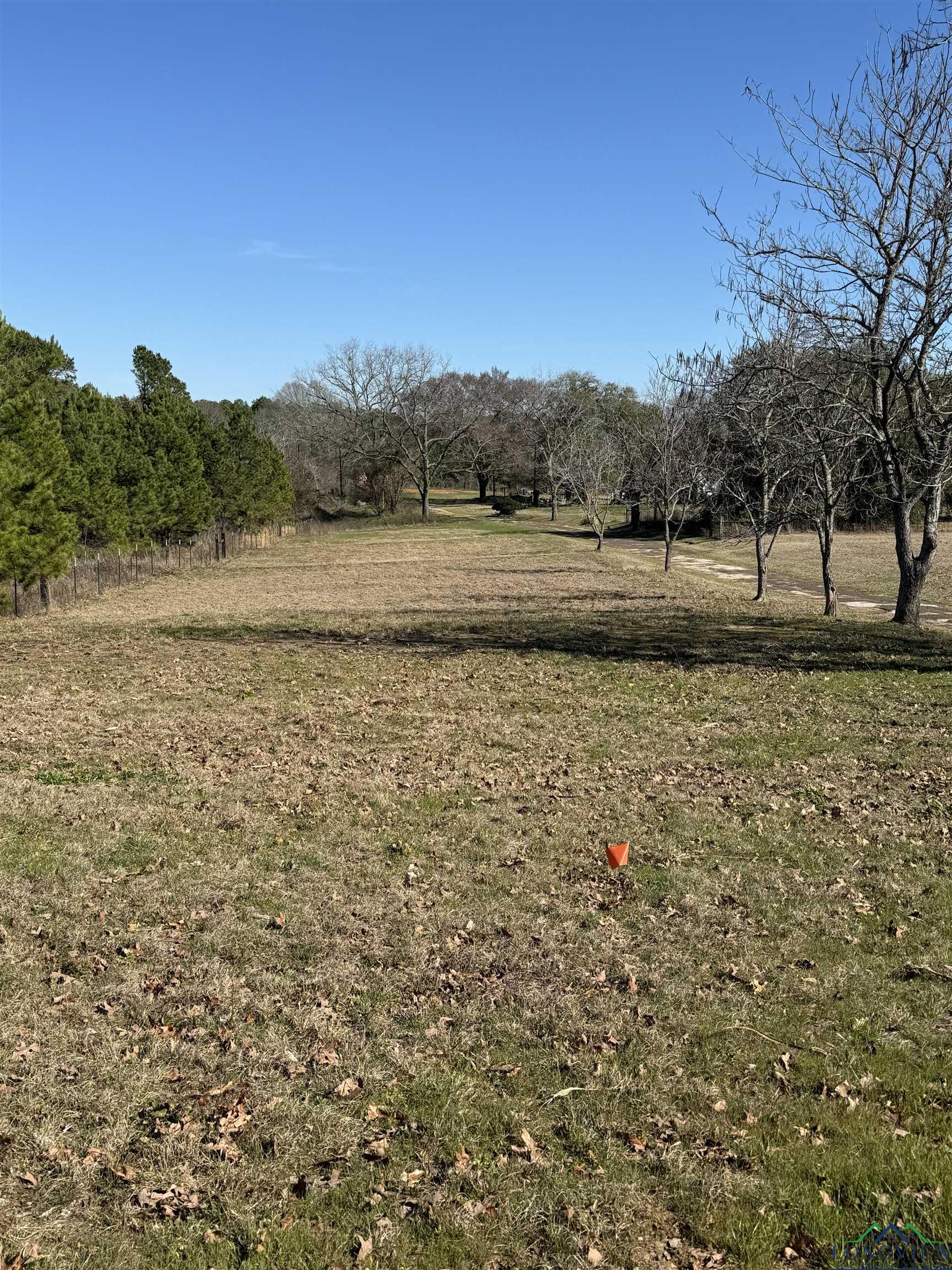 TBD Cr 401 St, Henderson, Texas image 4