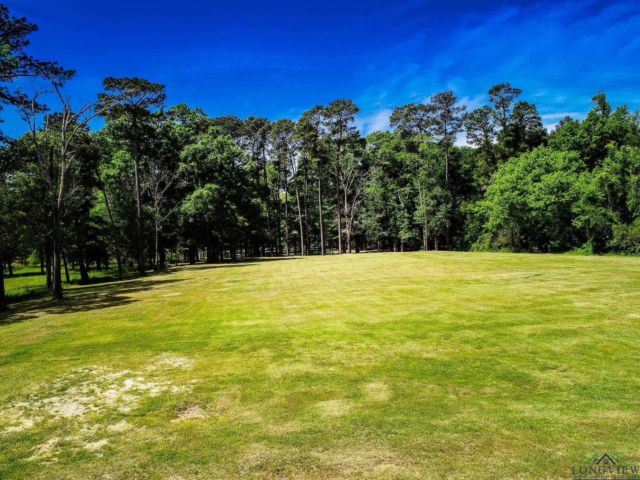 TBD Bayou St, Jefferson, Texas image 33