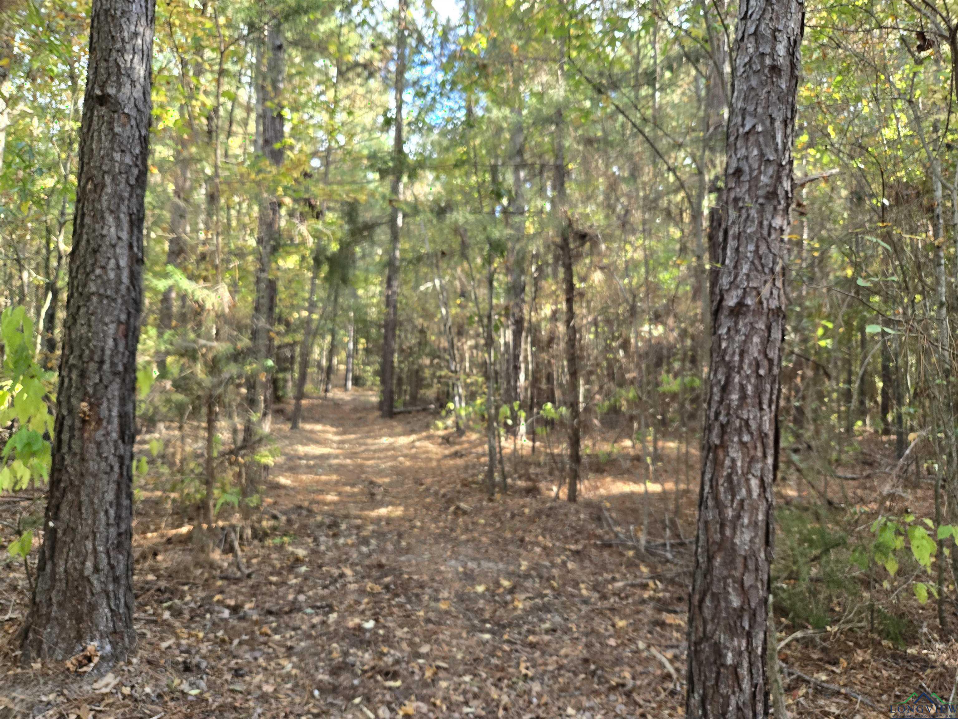 8490 Fm 2796, Gilmer, Texas image 8