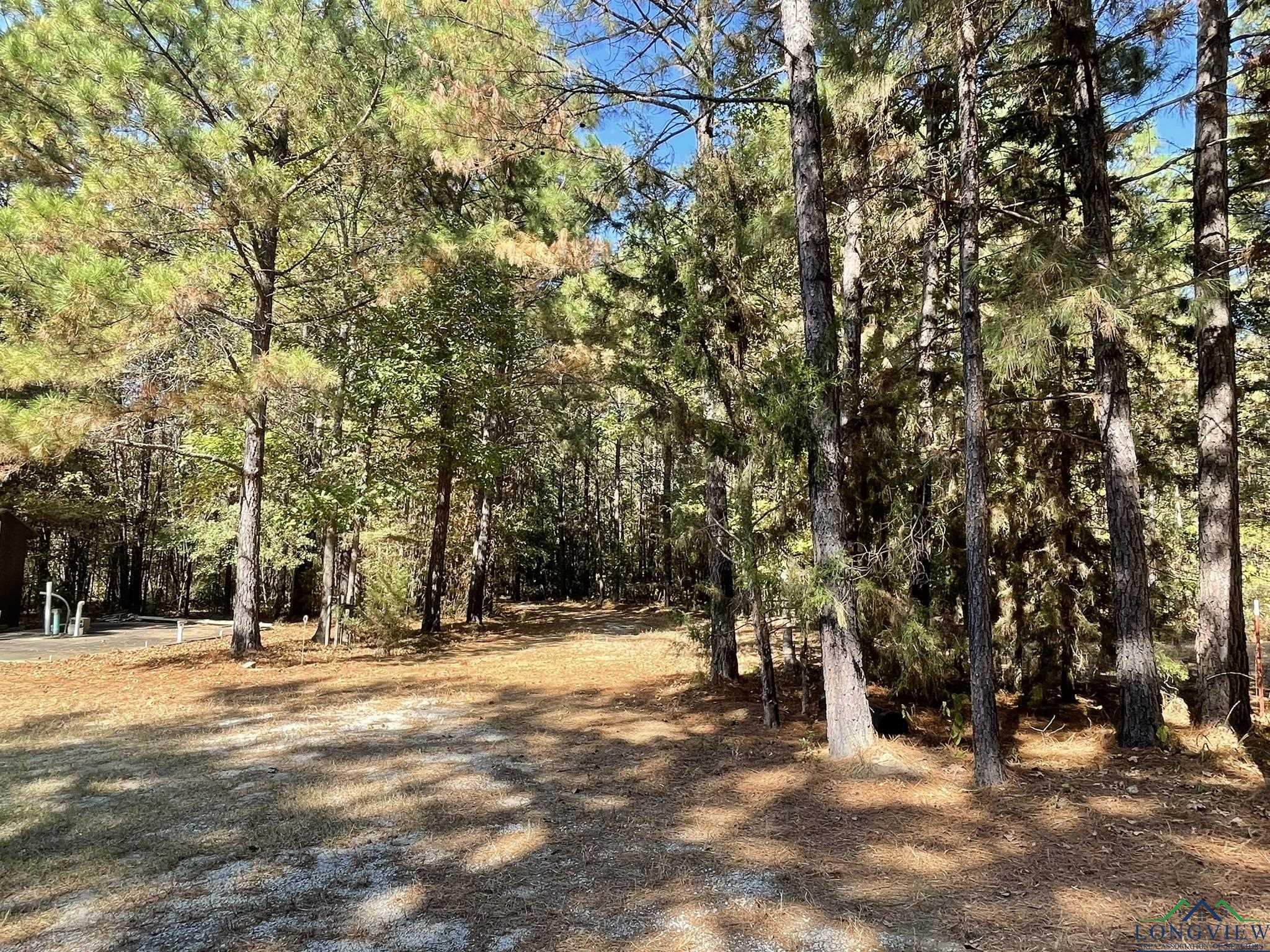 8490 Fm 2796, Gilmer, Texas image 20