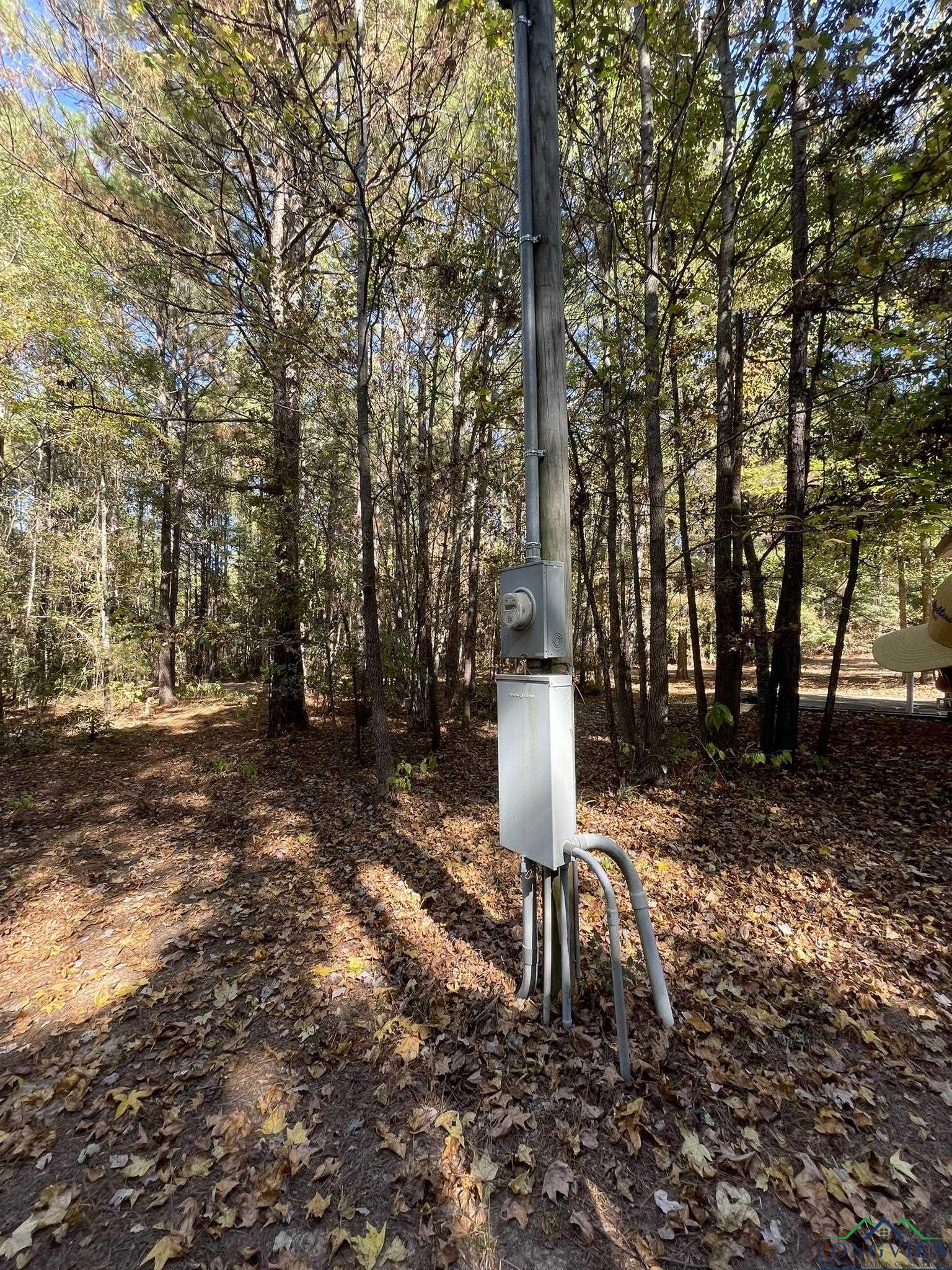 8490 Fm 2796, Gilmer, Texas image 41