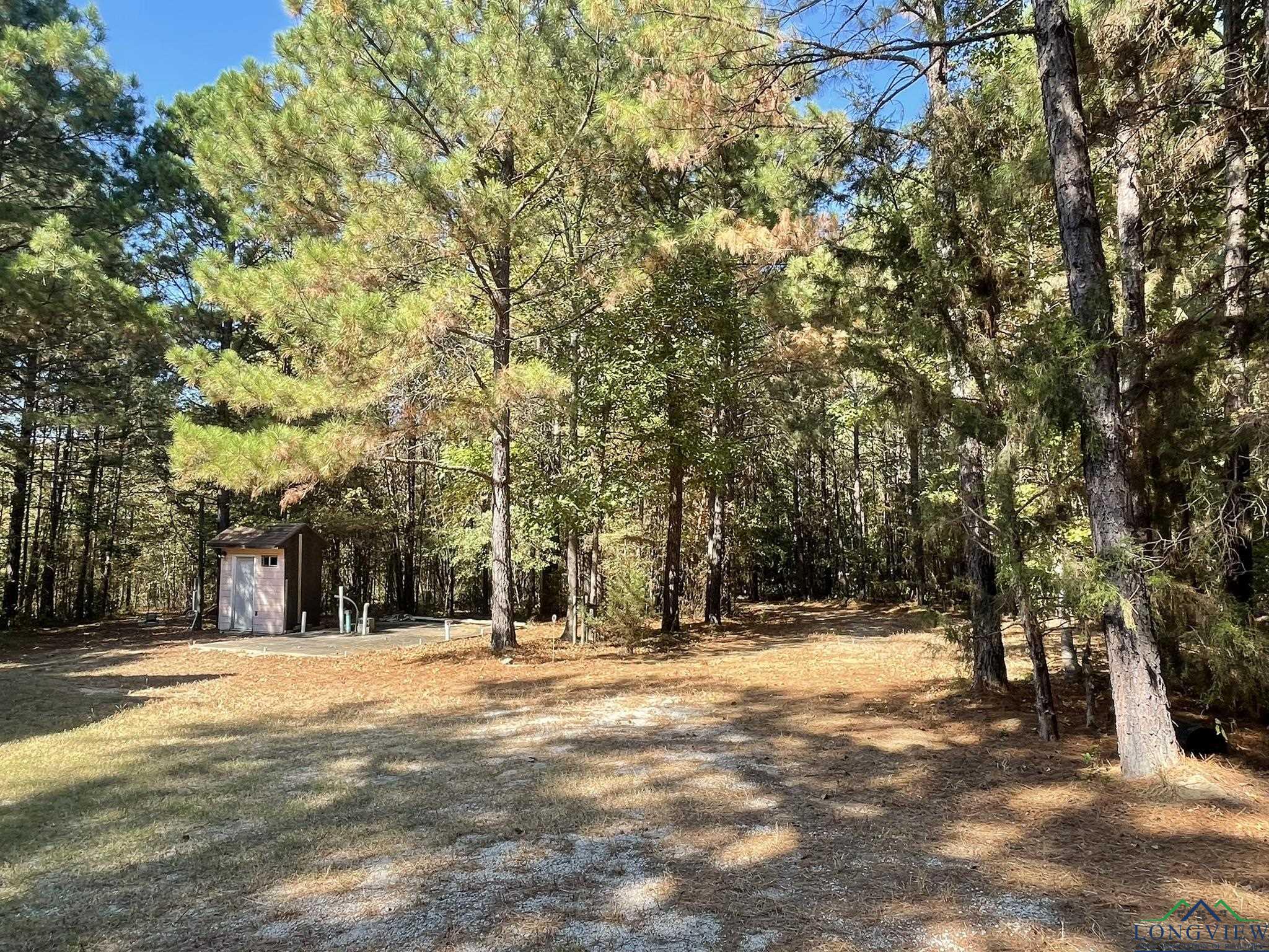 8490 Fm 2796, Gilmer, Texas image 19