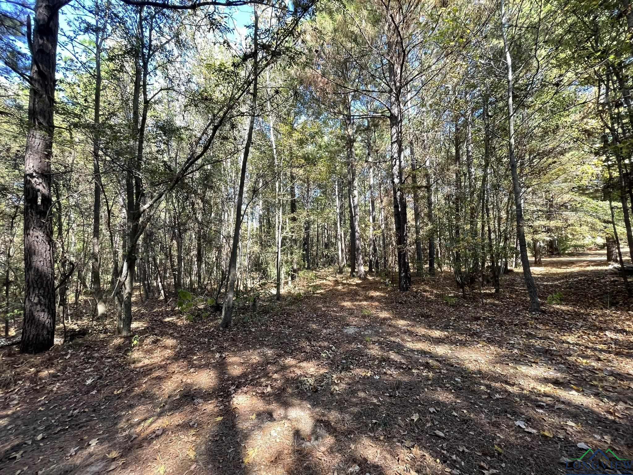 8490 Fm 2796, Gilmer, Texas image 24
