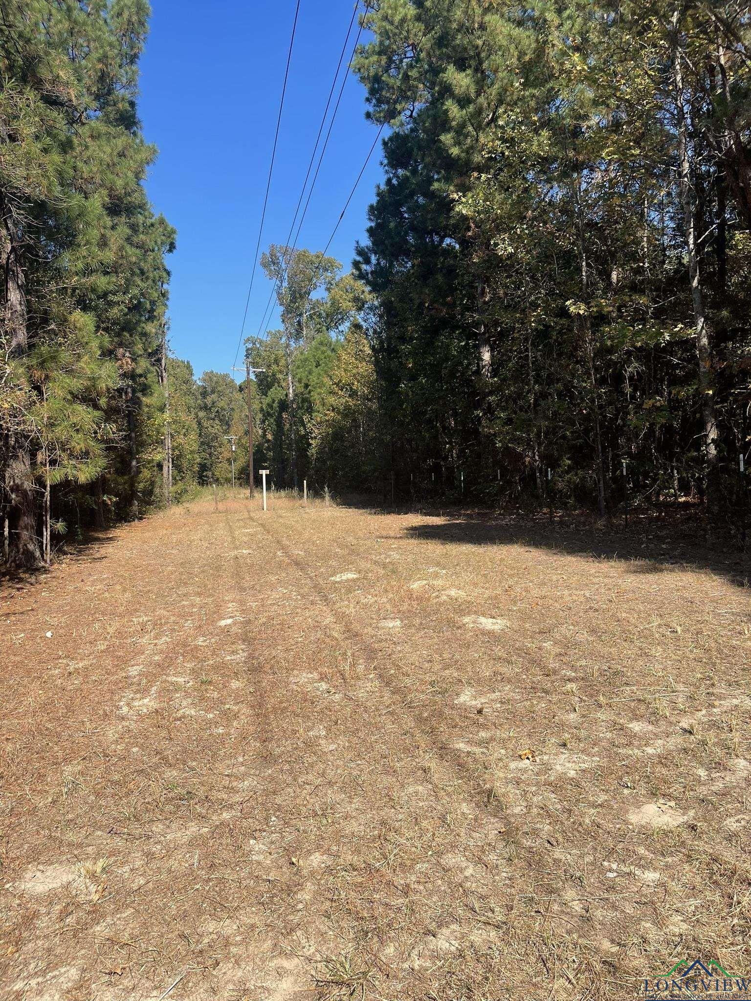 8490 Fm 2796, Gilmer, Texas image 47