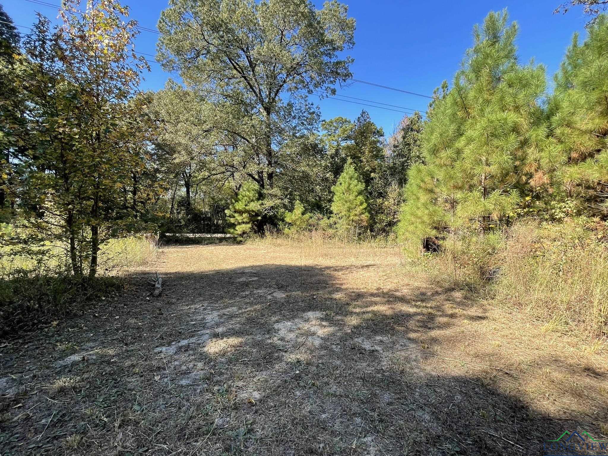 8490 Fm 2796, Gilmer, Texas image 46