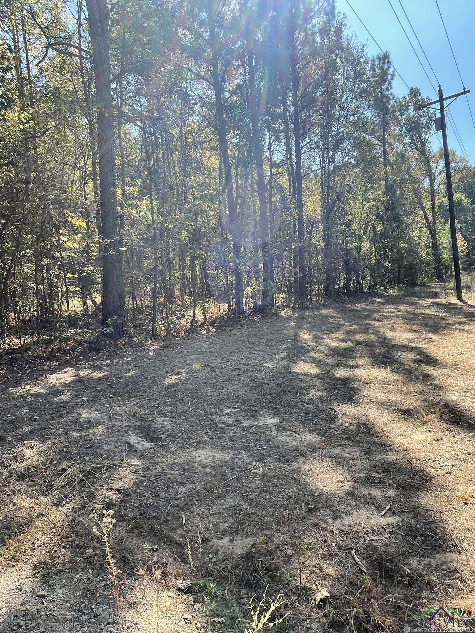 8490 Fm 2796, Gilmer, Texas image 13