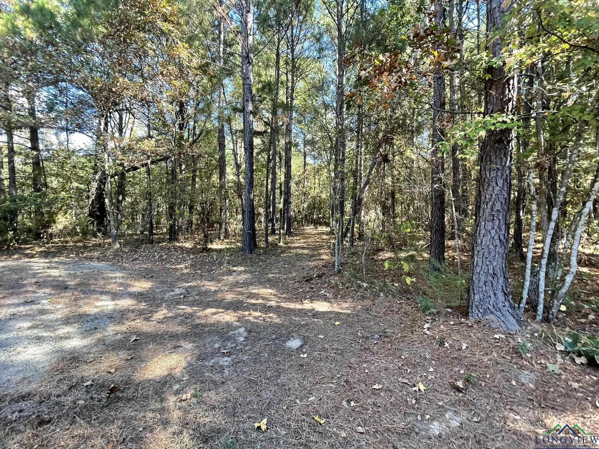 8490 Fm 2796, Gilmer, Texas image 14