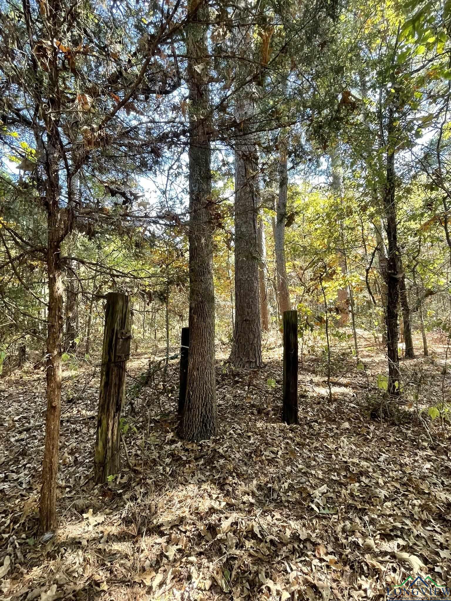 8490 Fm 2796, Gilmer, Texas image 45