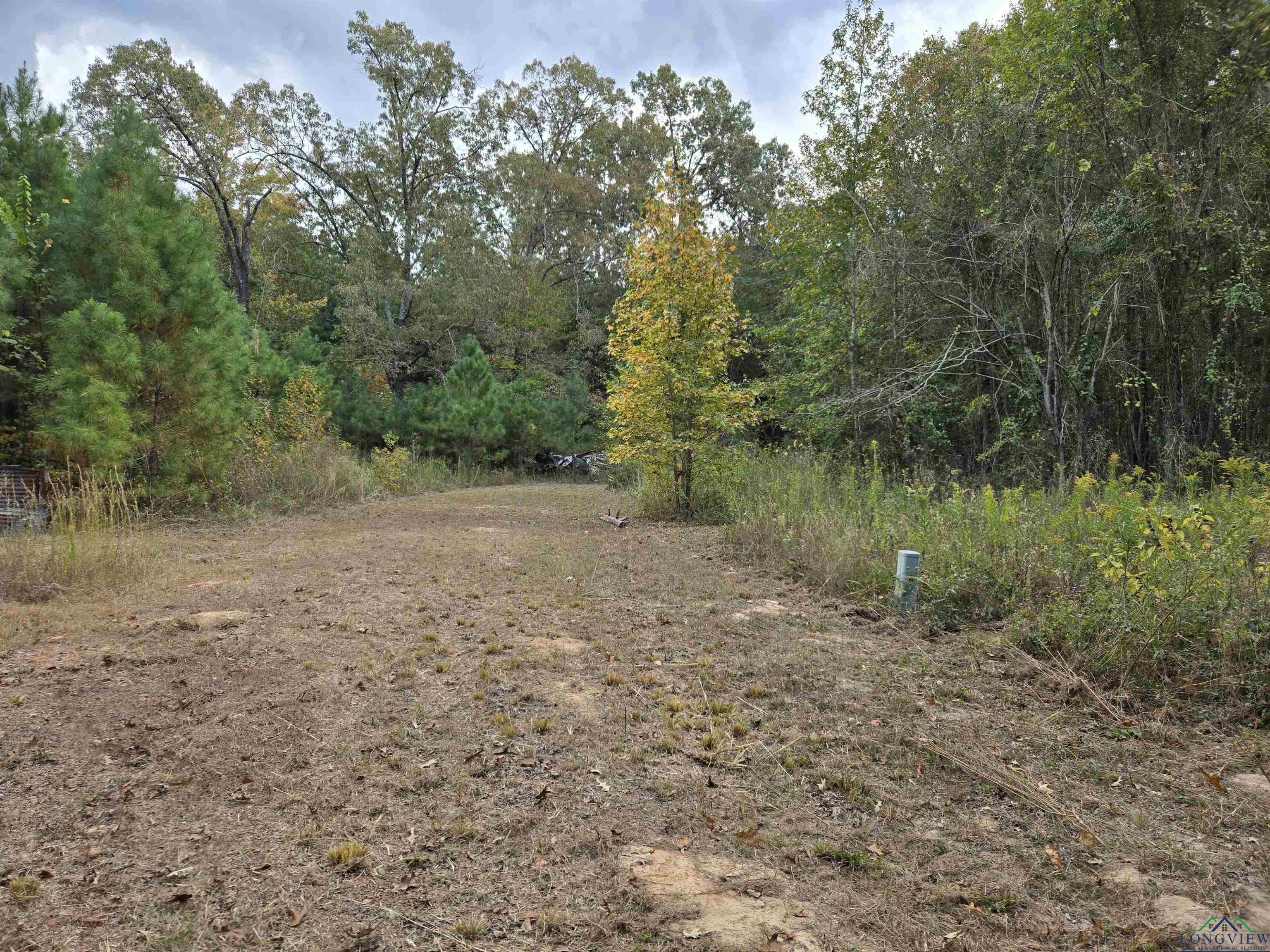 8490 Fm 2796, Gilmer, Texas image 3