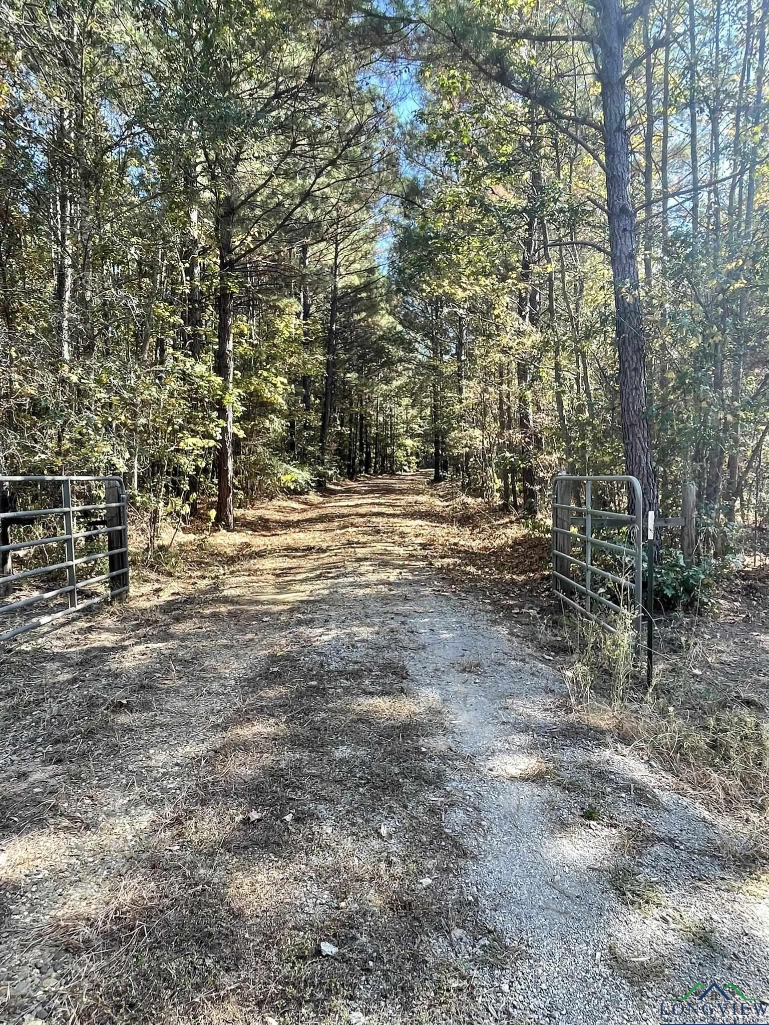 8490 Fm 2796, Gilmer, Texas image 11