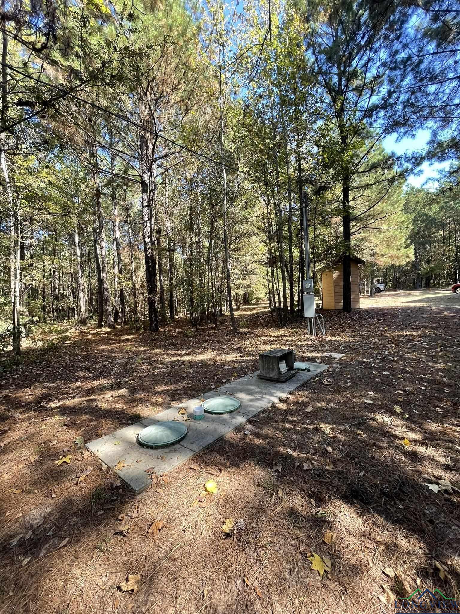 8490 Fm 2796, Gilmer, Texas image 23