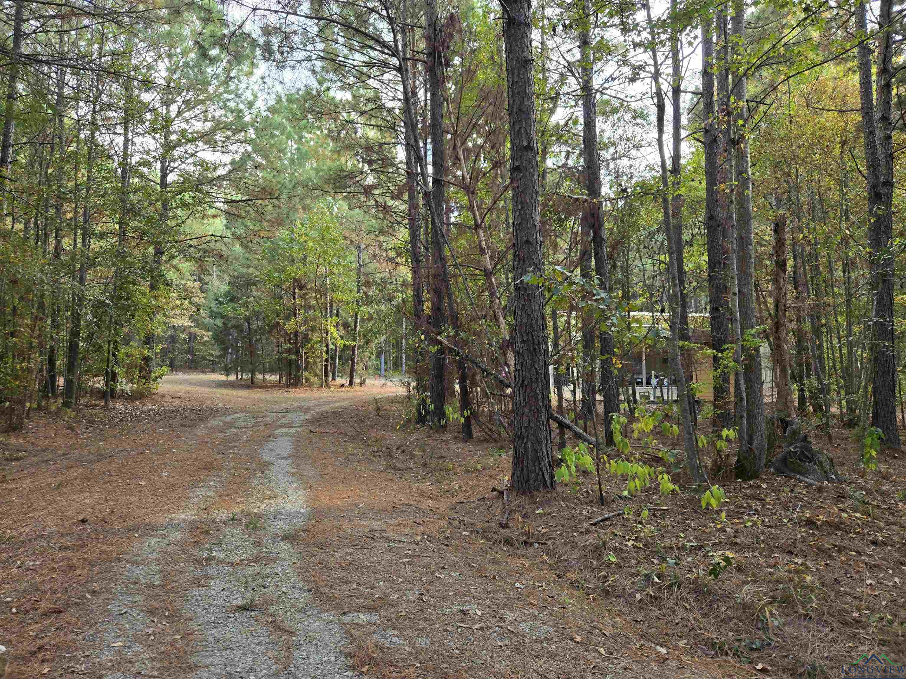 8490 Fm 2796, Gilmer, Texas image 4