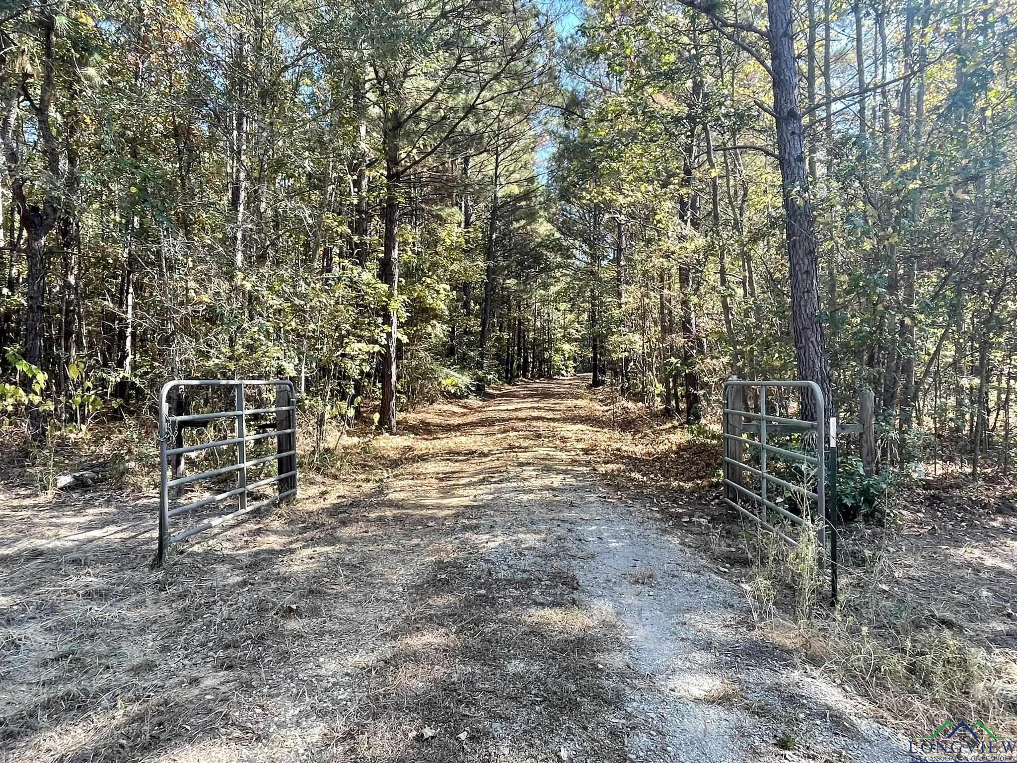 8490 Fm 2796, Gilmer, Texas image 10