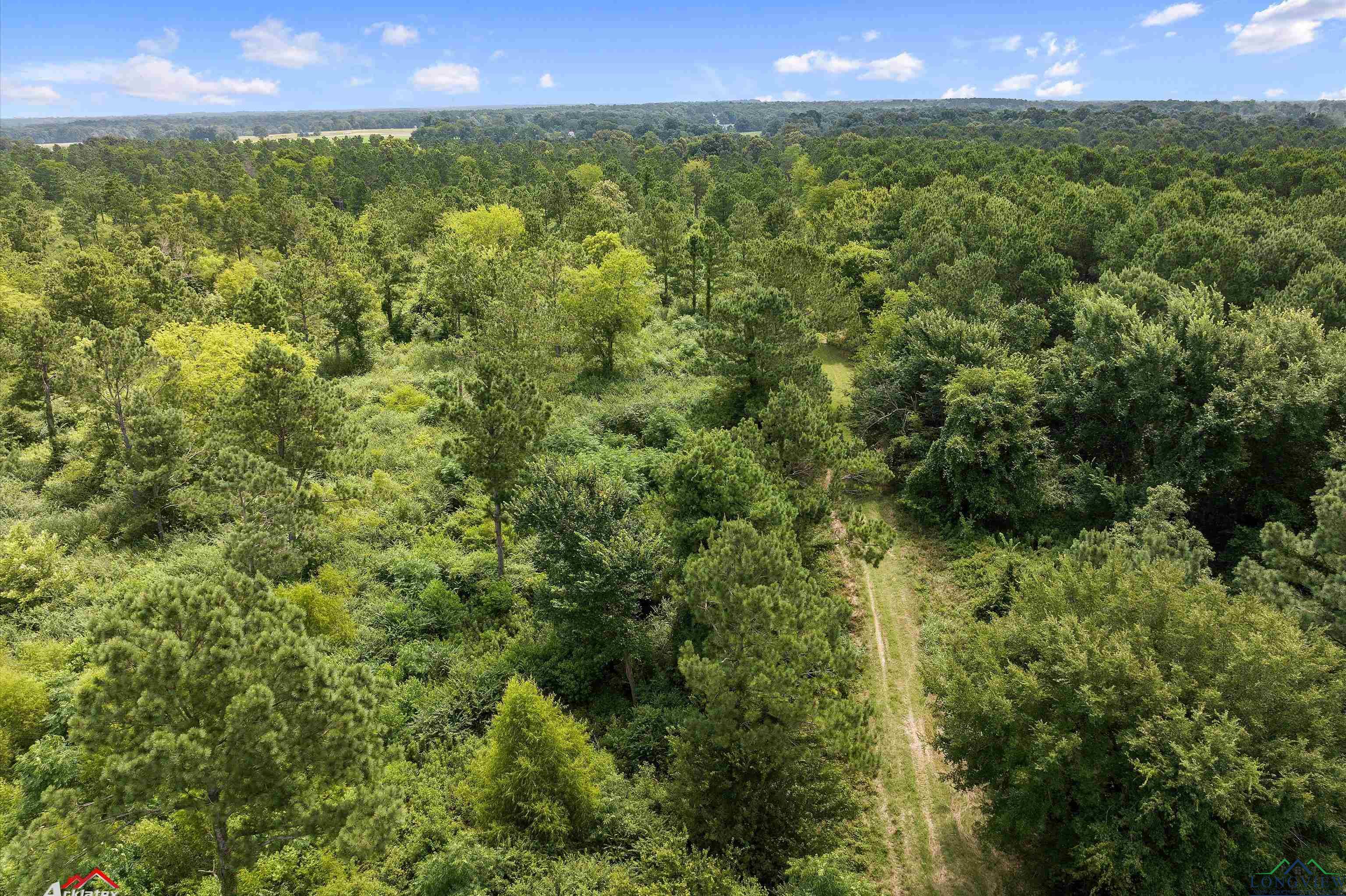 TBD Cr 103 Tract 5, Carthage, Texas image 4