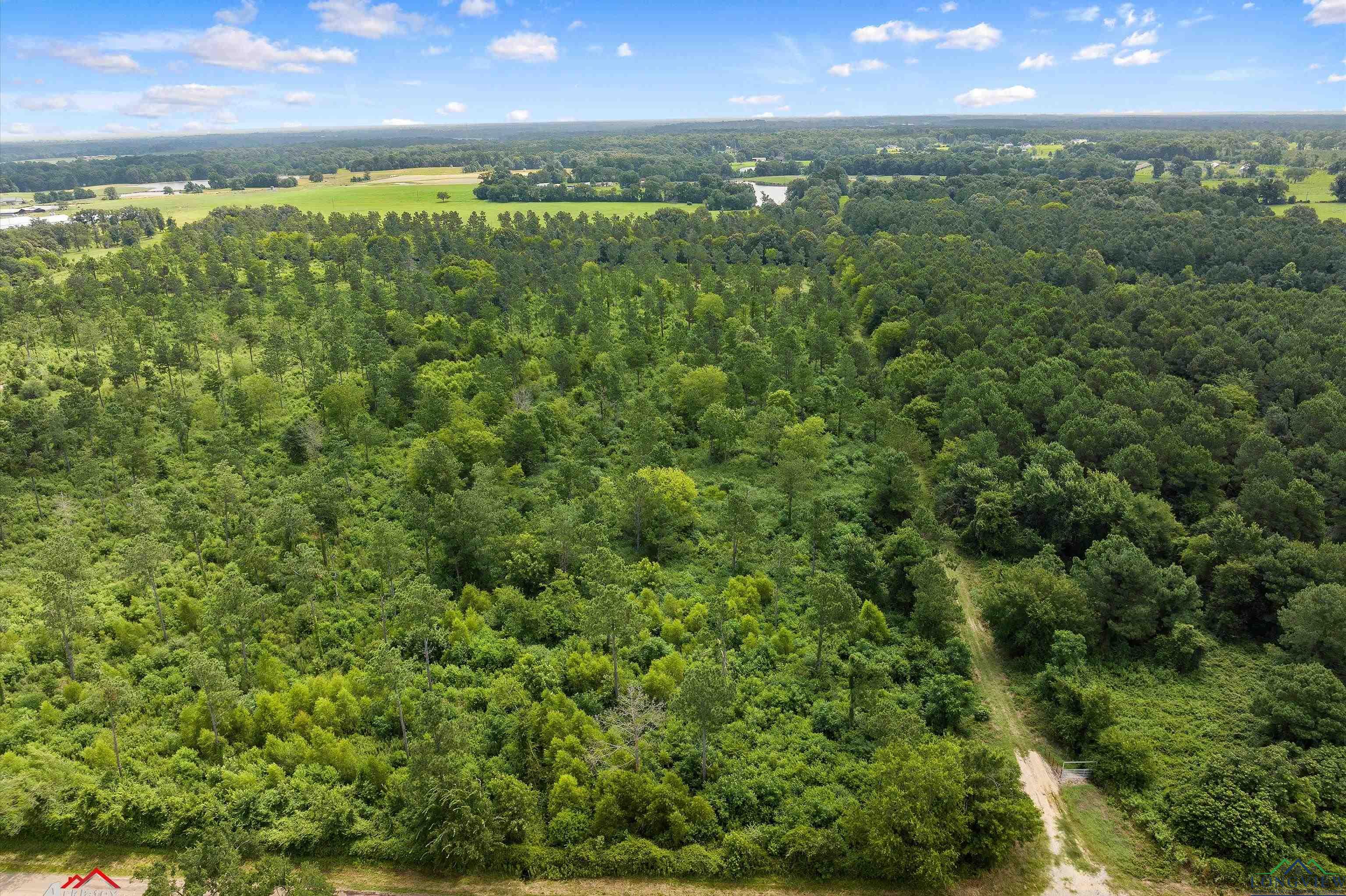 TBD Cr 103 Tract 5, Carthage, Texas image 3