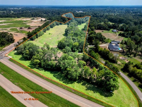 Vacant Land For Sale - 888 Cr 201<br/> Carthage, TX 75633