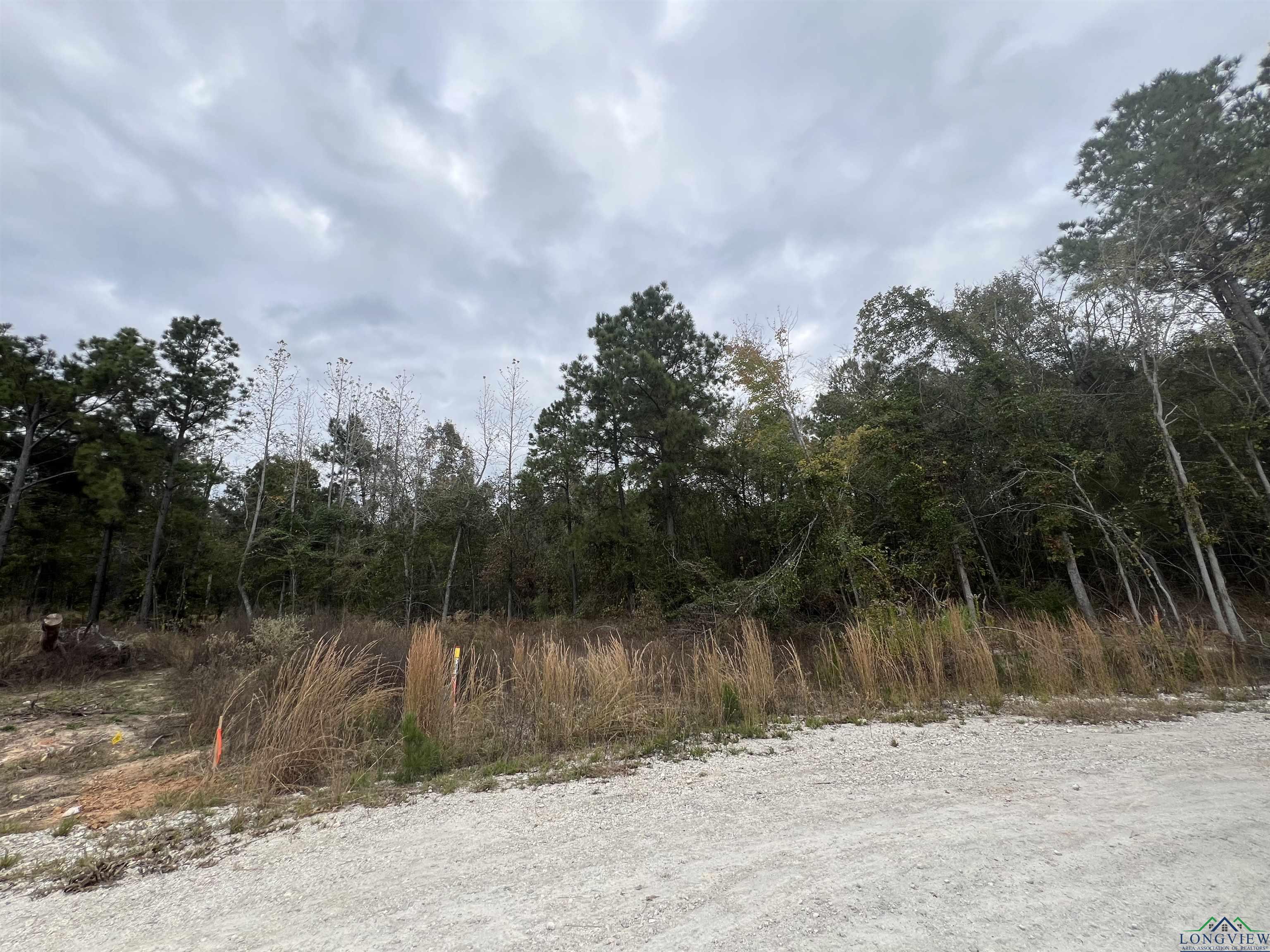 LOT #1 Tbd Bluebird Rd, Gilmer, Texas image 3