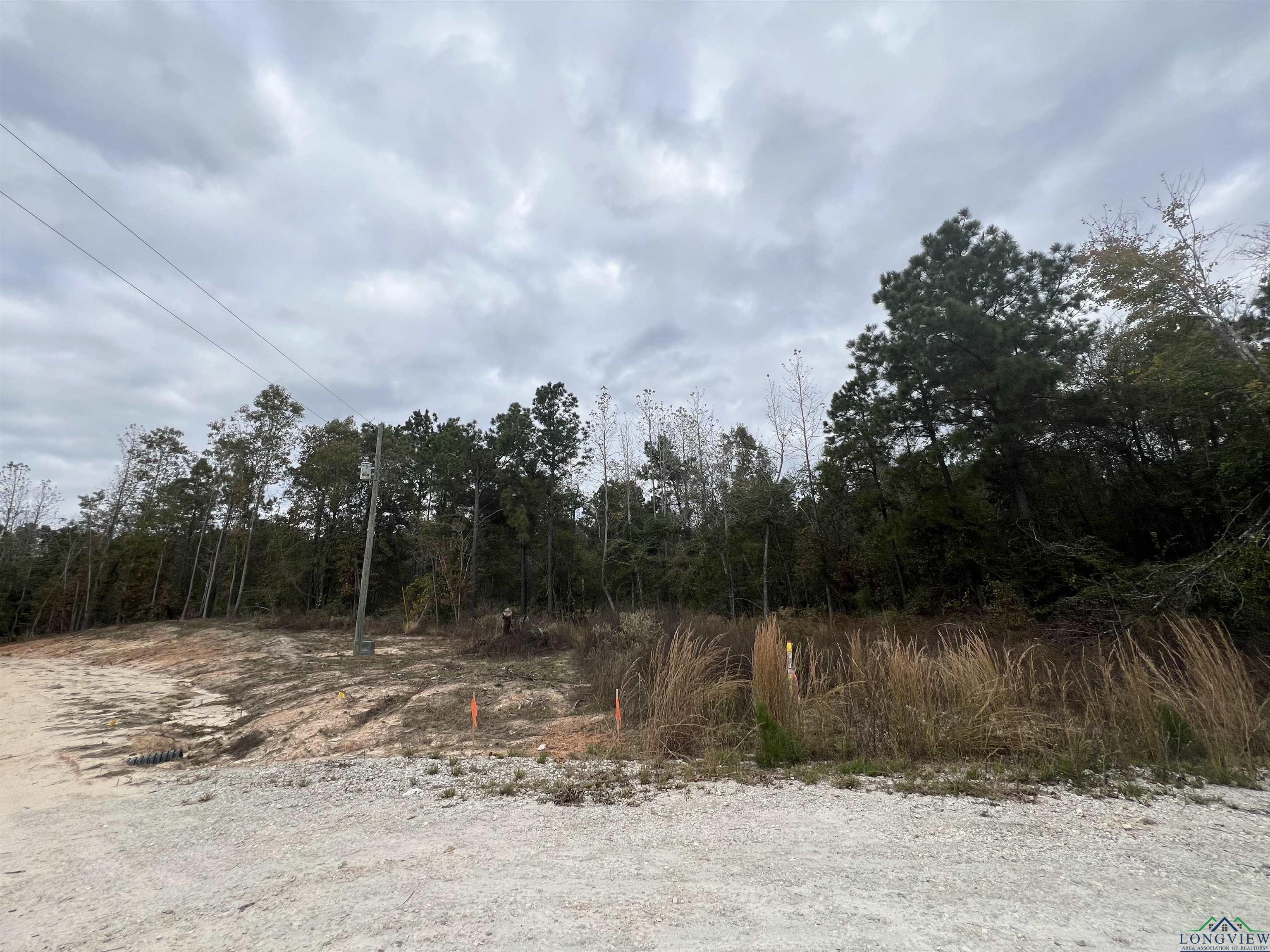 LOT #1 Tbd Bluebird Rd, Gilmer, Texas image 6