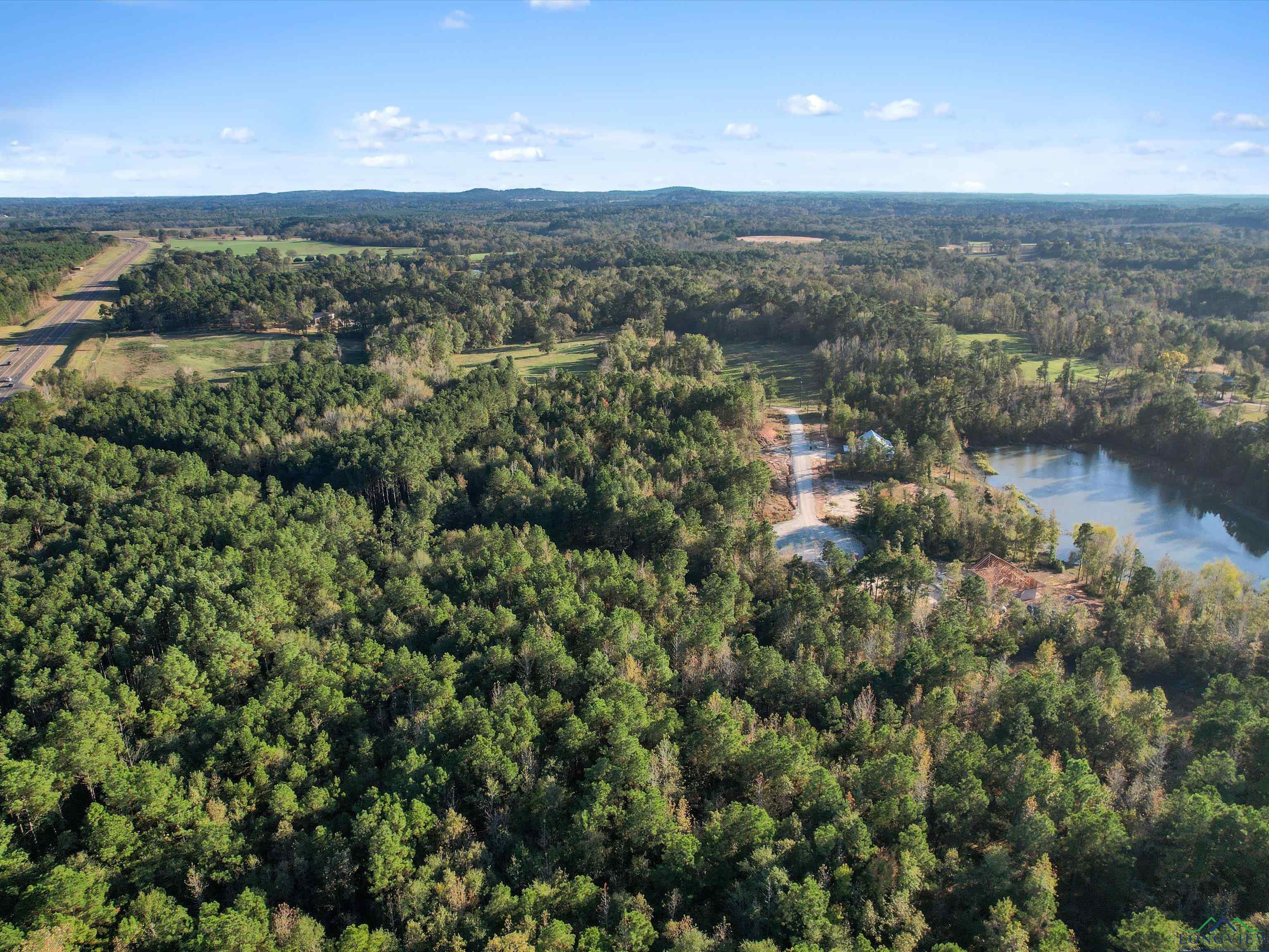 LOT #1 Tbd Bluebird Rd, Gilmer, Texas image 11