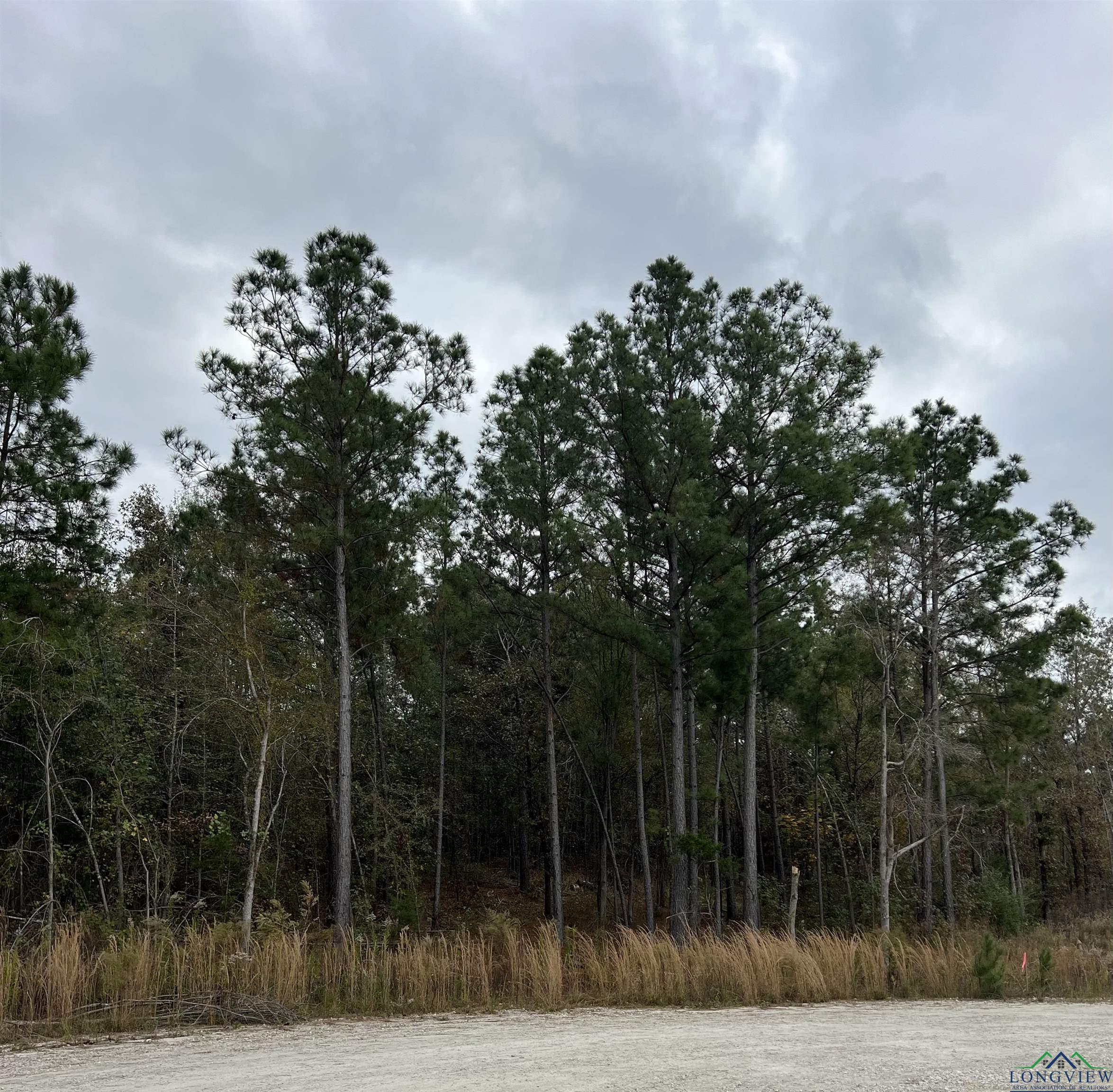 LOT #1 Tbd Bluebird Rd, Gilmer, Texas image 14