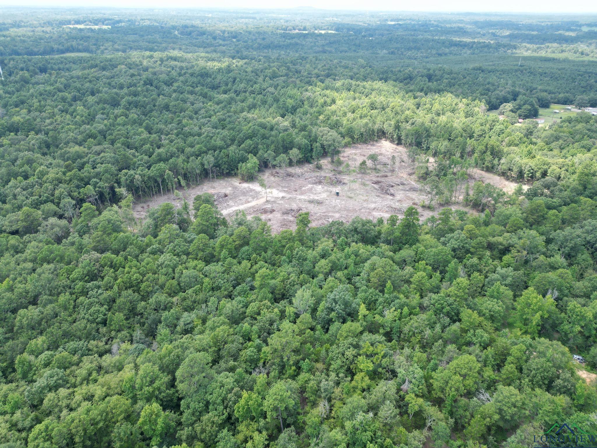 TBD Lot 17 Cr 2204 D & Fm 1797, Tatum, Texas image 4