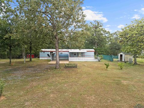 Homes For Sale - 91 W County Road 4112<br/> Atlanta, TX 75551